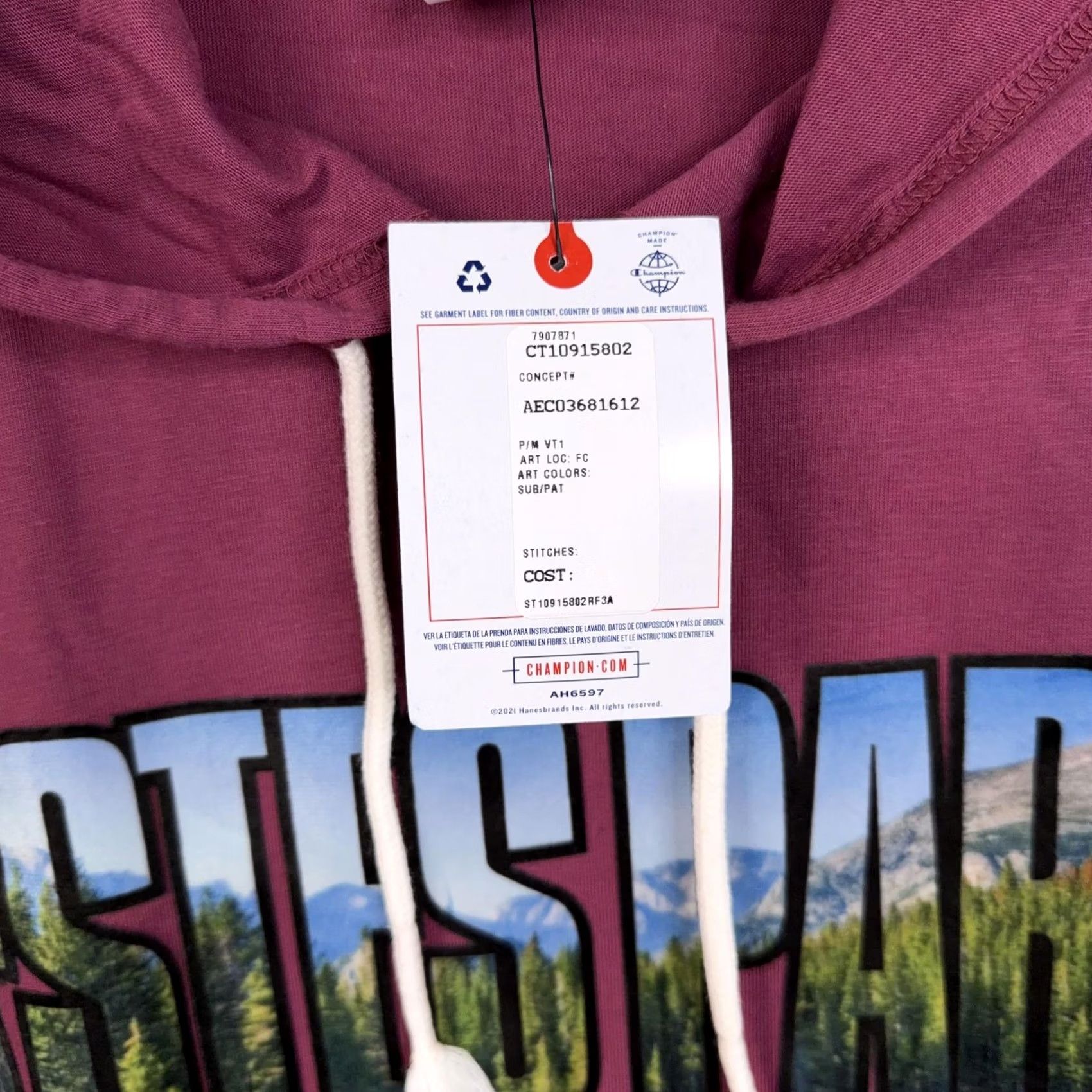 Champion Champion Hoodie Mens Large Red Estes Park Graphic Lightweight Pullover NWT Size US L / EU 52-54 / 3 - 4 Thumbnail