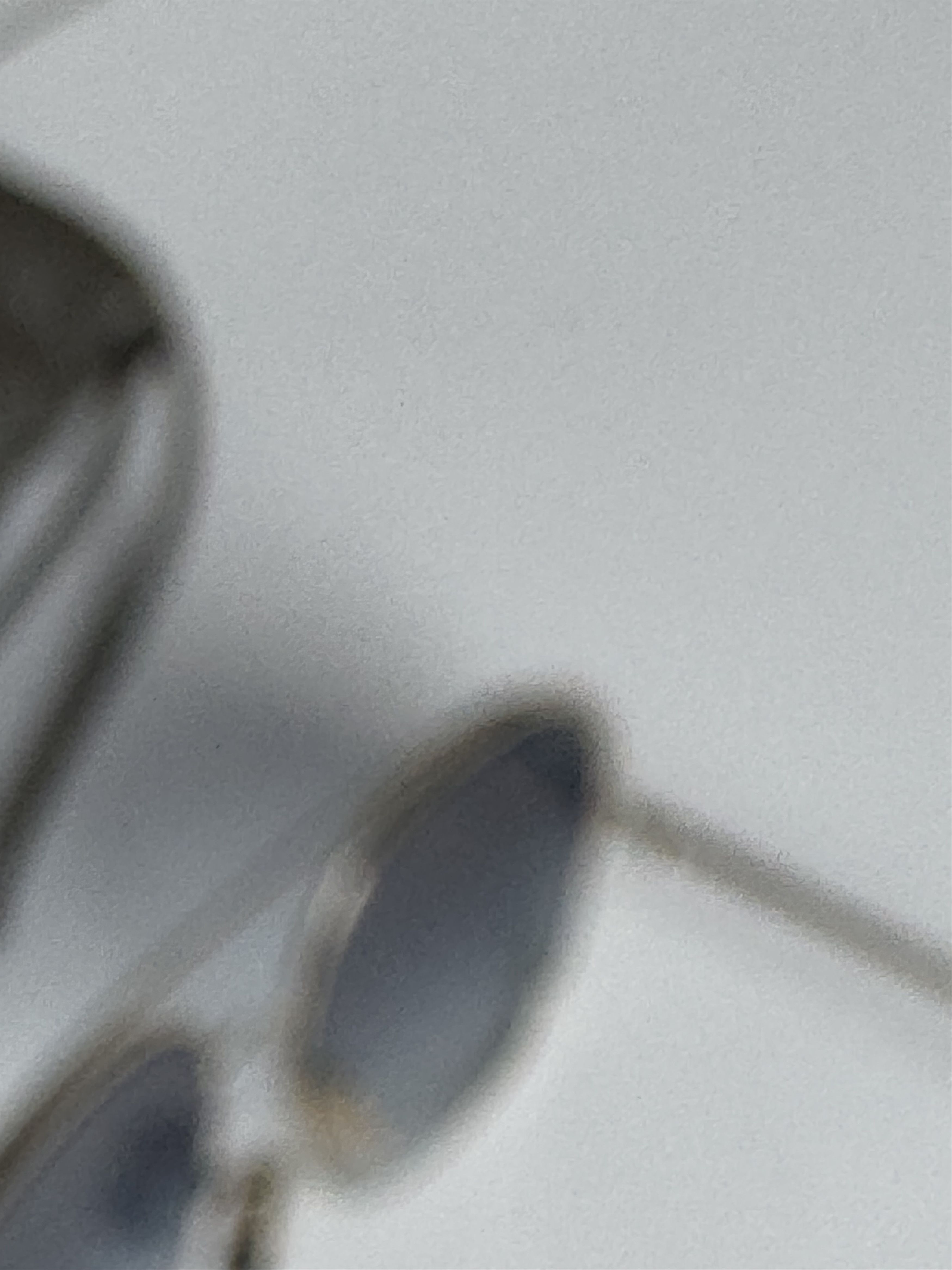 Loewe Loewe Sunglasses Size ONE SIZE - 17 Thumbnail
