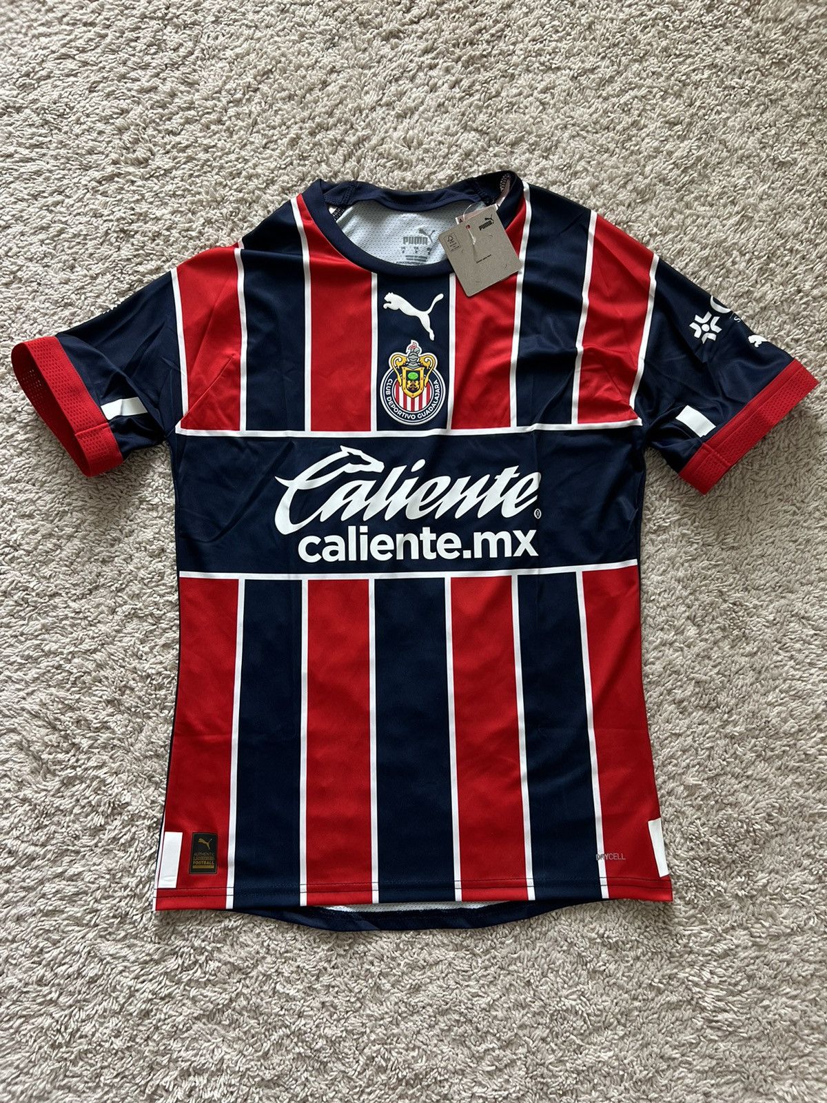 Puma Puma Authentic Chivas Guadalajara 3rd Alternative 22 Jersey Size US M / EU 48-50 / 2 - 5 Thumbnail