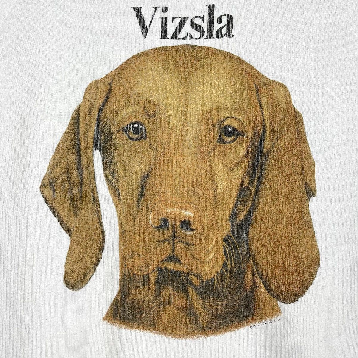 Hanes Vintage 90s Vizsla Dog Graphic Crewneck Sweatshirt Size L Size US L / EU 52-54 / 3 - 4 Thumbnail