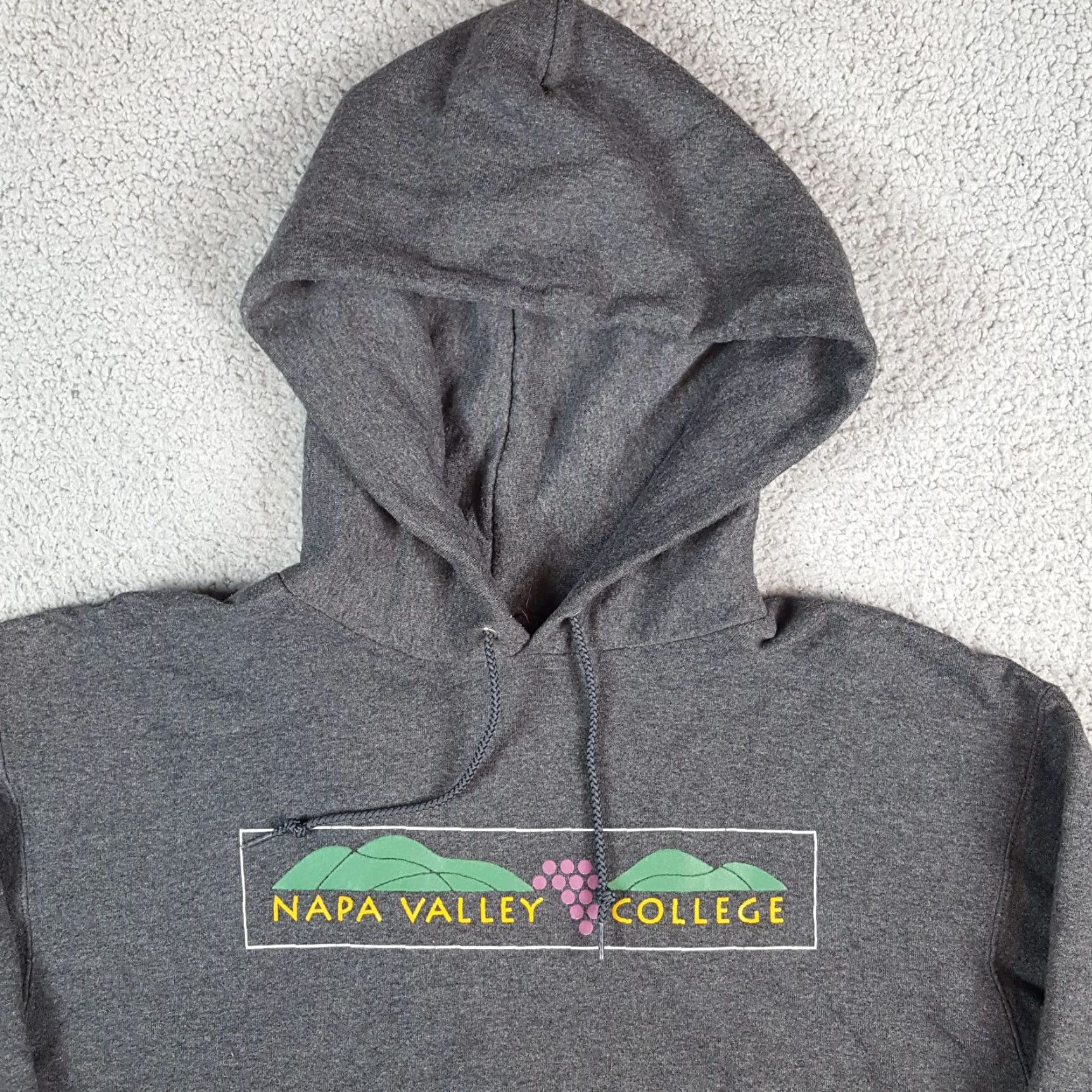 Champion VINTAGE Napa Valley College California Wine Hoodie University Pullover Sweatshirt, Champion, Size M, Gray, Men, 90s College Theme Size US M / EU 48-50 / 2 - 2 Thumbnail