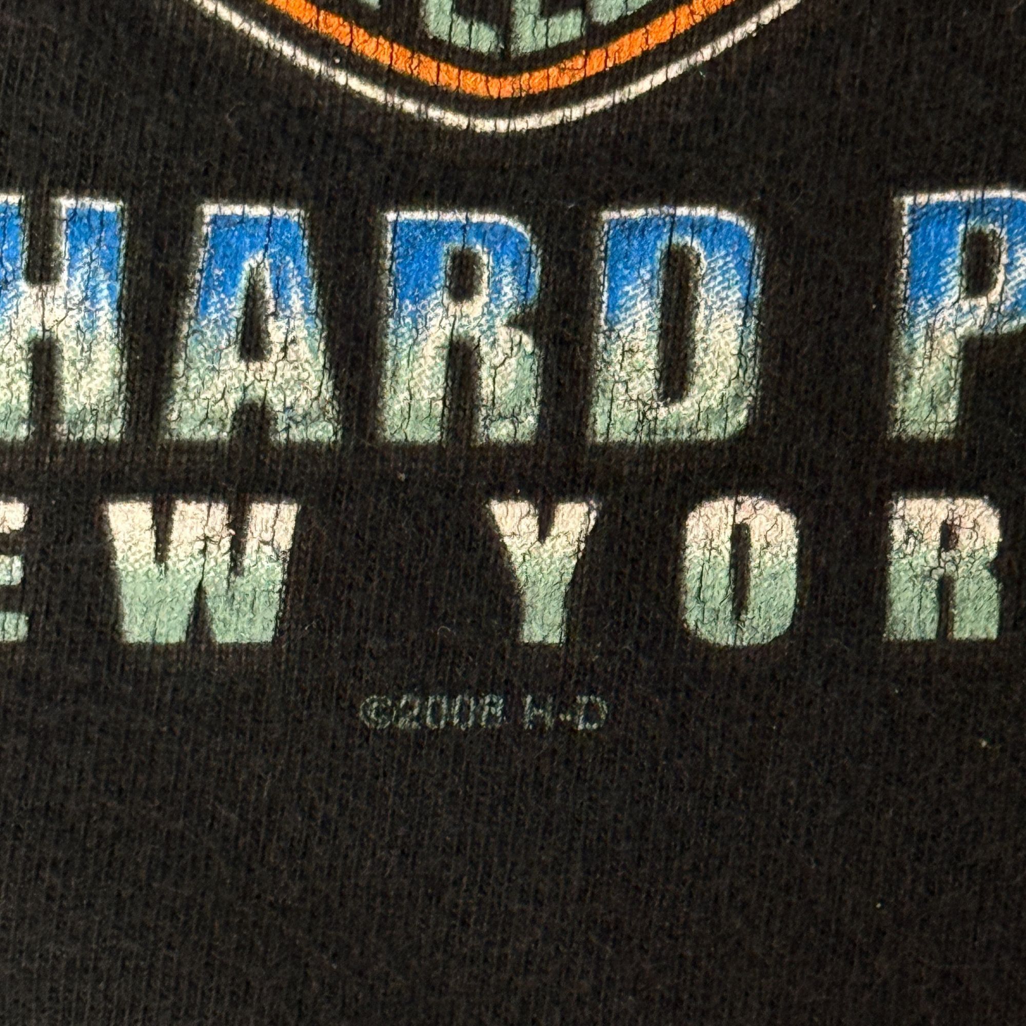 Harley Davidson 2008 Motorcycles Southtowns BUFFALO New York Biker T Shirt Size US M / EU 48-50 / 2 - 11 Thumbnail