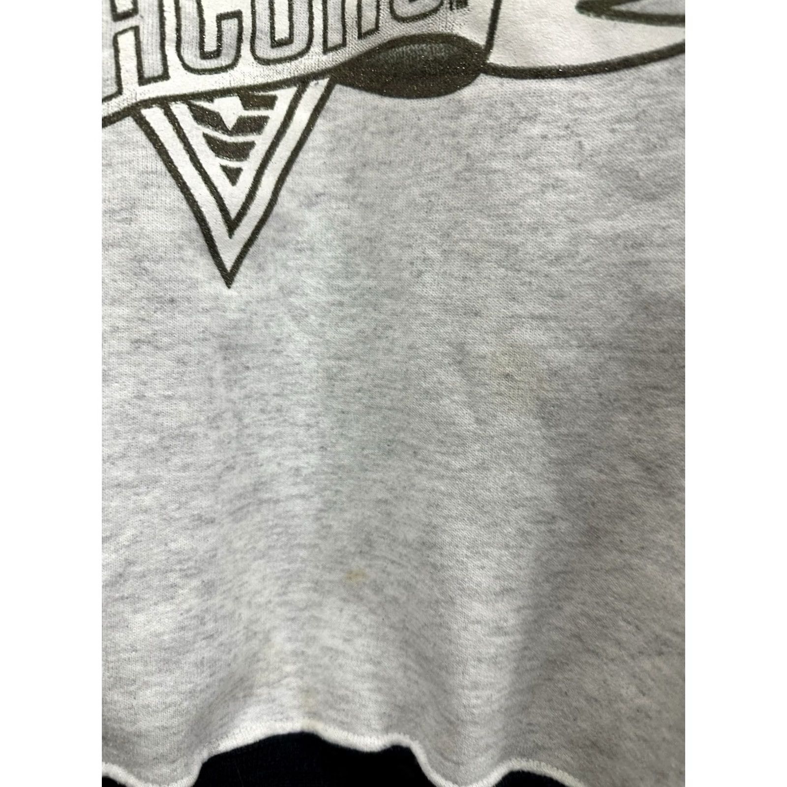 Vintage VTG 90s Wake Forest Demon Deacons Crest Ringer Sweatshirt Crewneck Sz M Men Heather Gray Nike Dodger Size US M / EU 48-50 / 2 - 7 Thumbnail