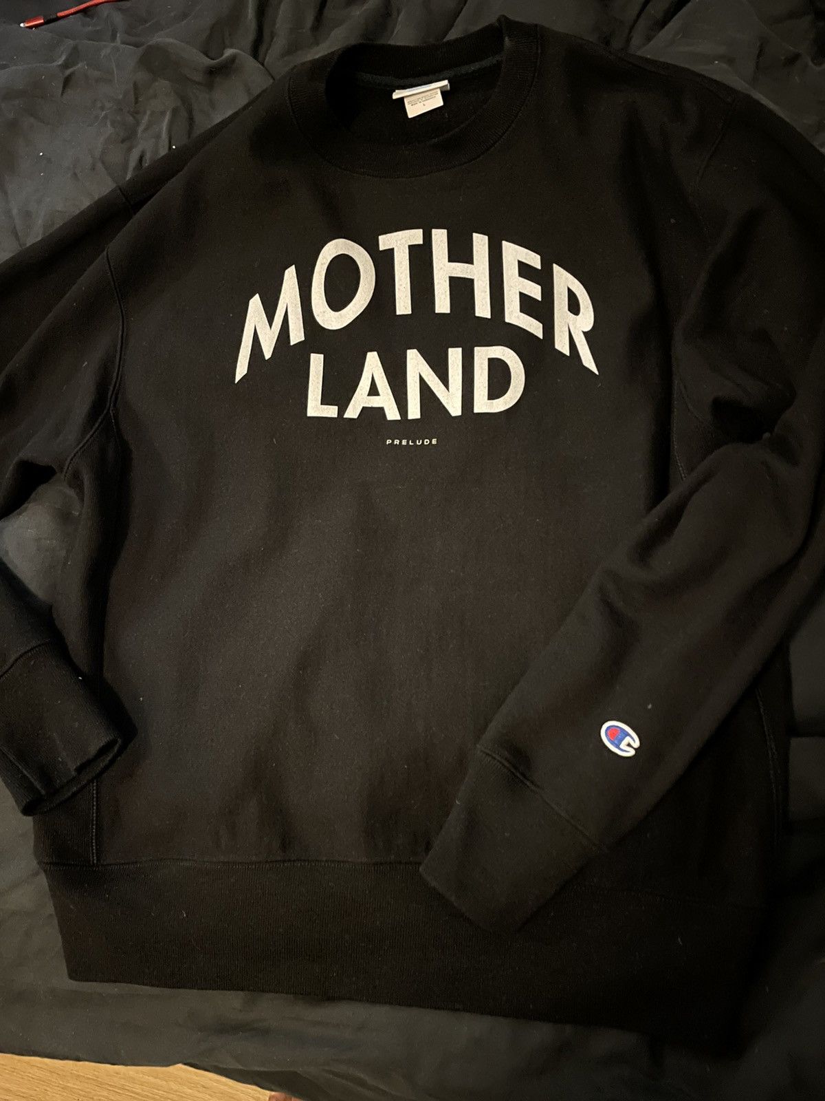 Champion Motherland reverse weave Size US L / EU 52-54 / 3 - 2 Thumbnail