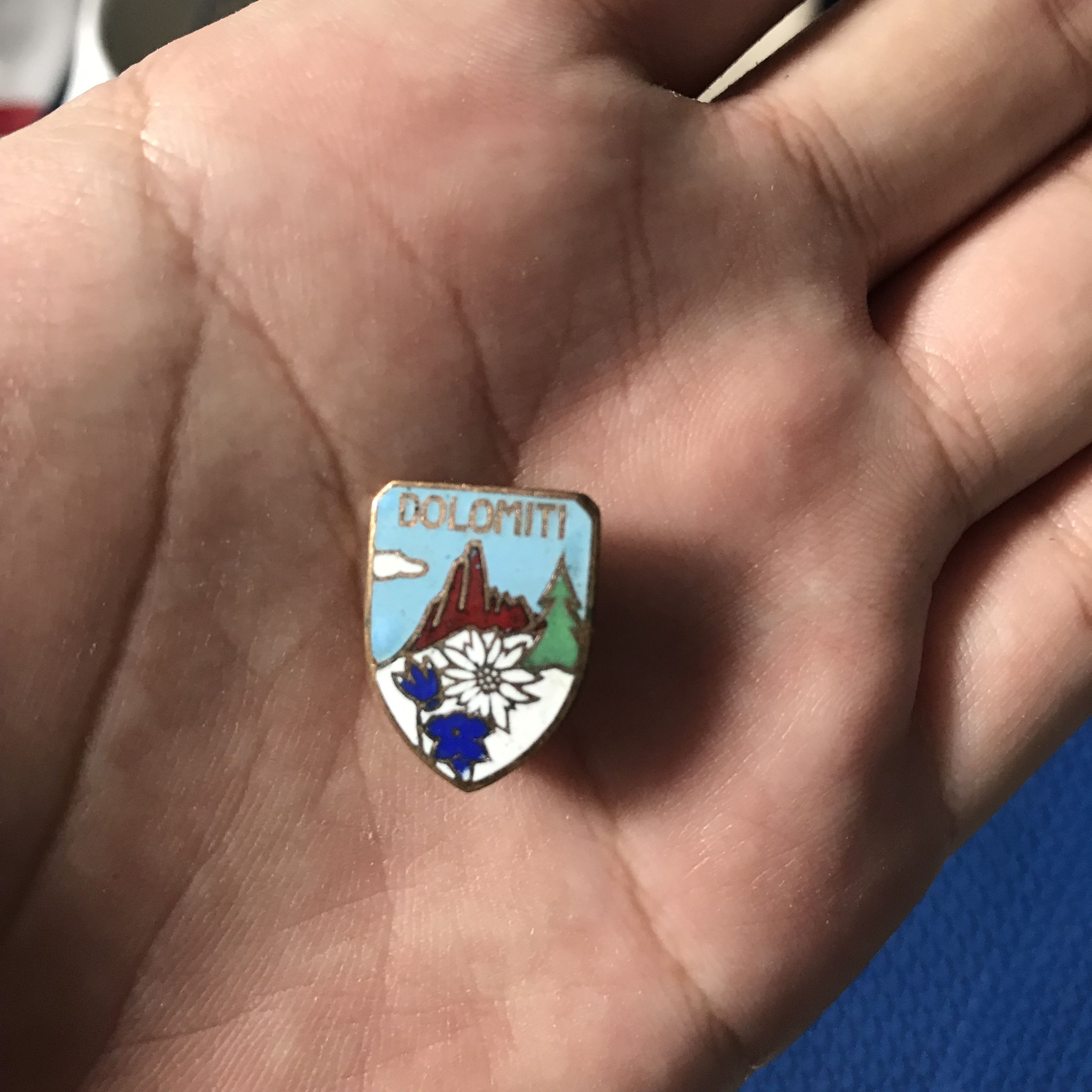 Vintage Italian Dolomite recreation of mountain flowers Pin Enamel Size ONE SIZE - 7 Thumbnail