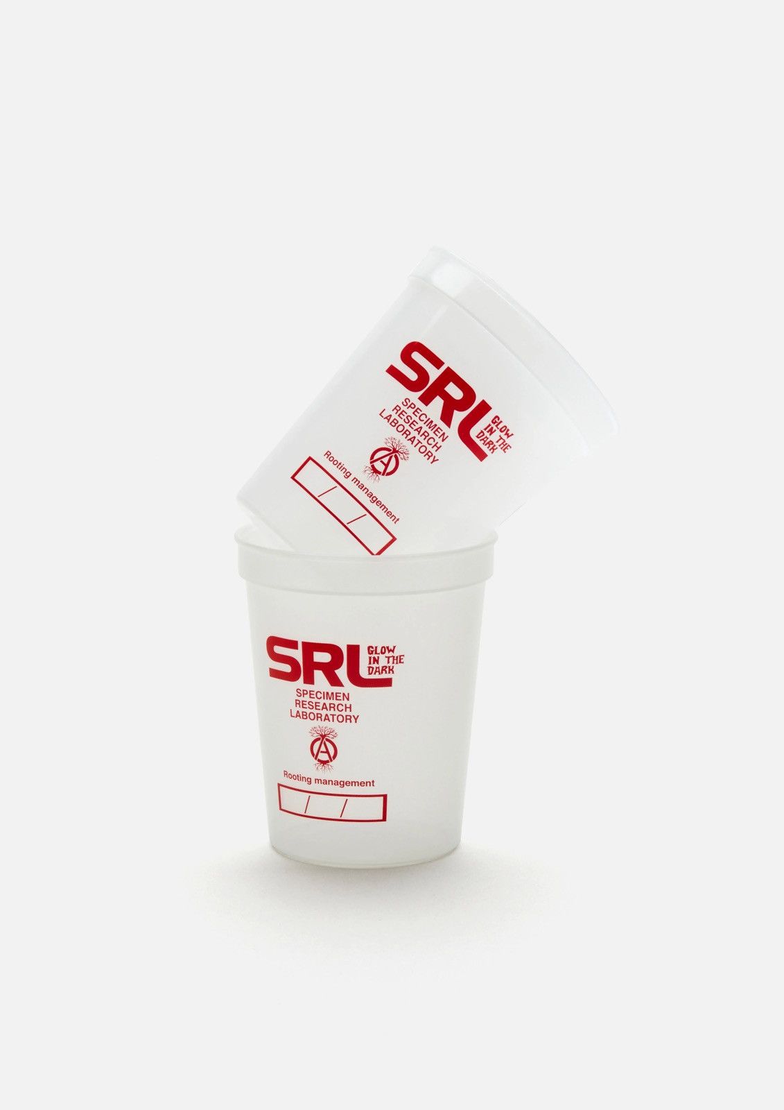 Neighborhood Neighborhood SRL Cup Size ONE SIZE - 2 Thumbnail