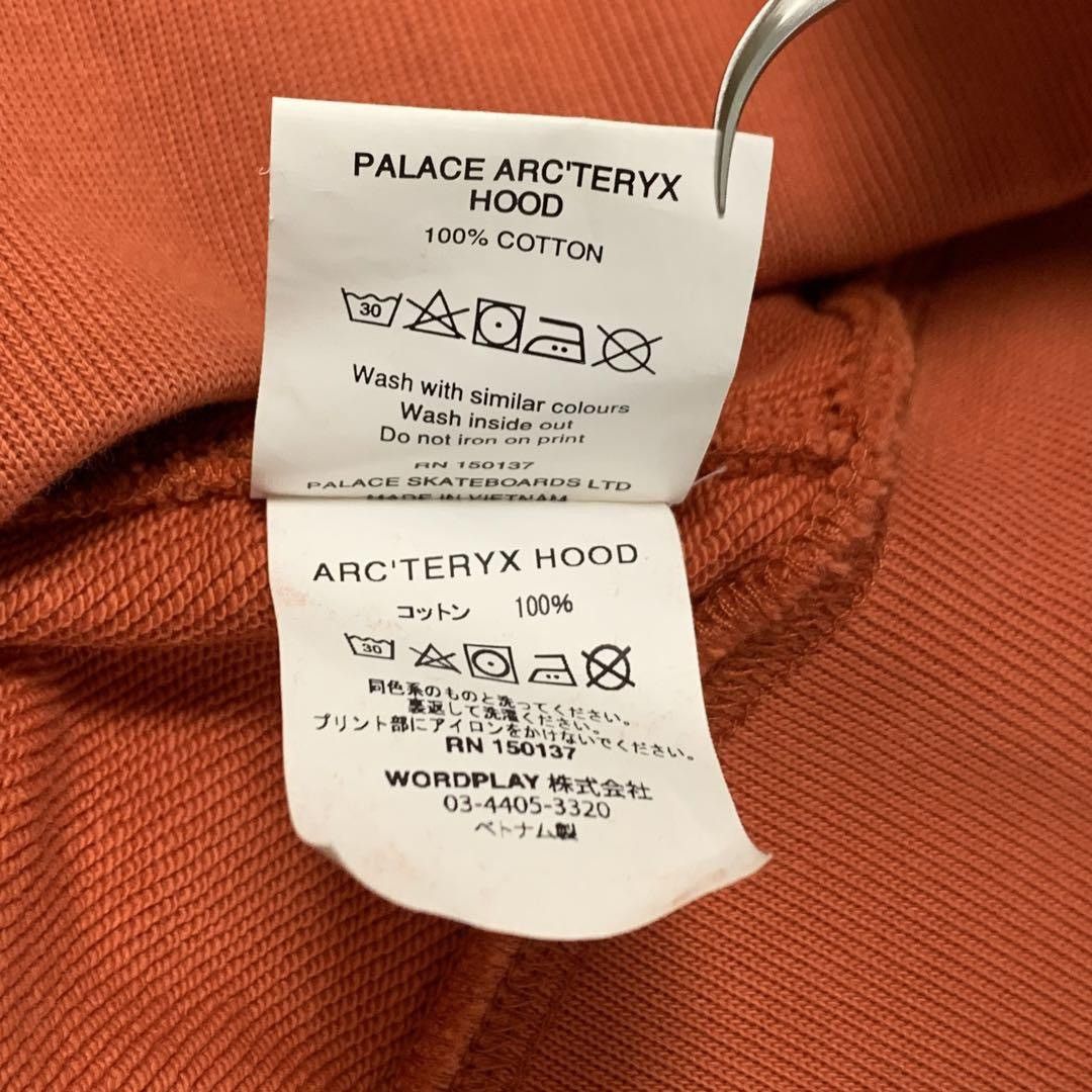 Arc'teryx × Palace Arcteryx x Palace Hoodie Size US M / EU 48-50 / 2 - 11 Thumbnail