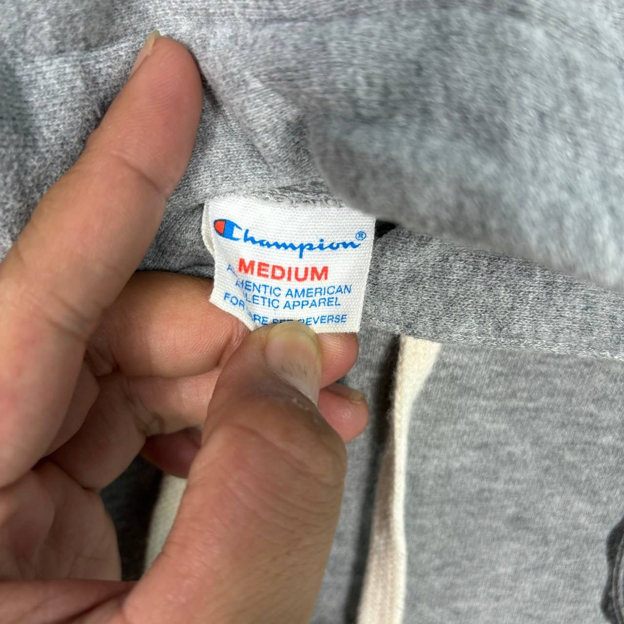Champion Vintage Champion North Carolina Raleigh Hoodie Grey Medium Size US M / EU 48-50 / 2 - 7 Thumbnail