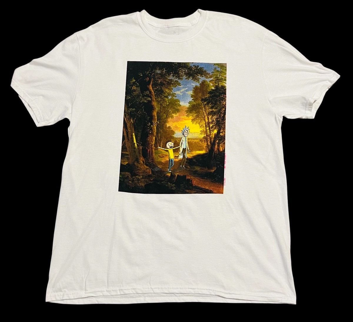 Other Rick and Morty Adult Swim T-shirt Size XL Size US XL / EU 56 / 4 - 1 Thumbnail