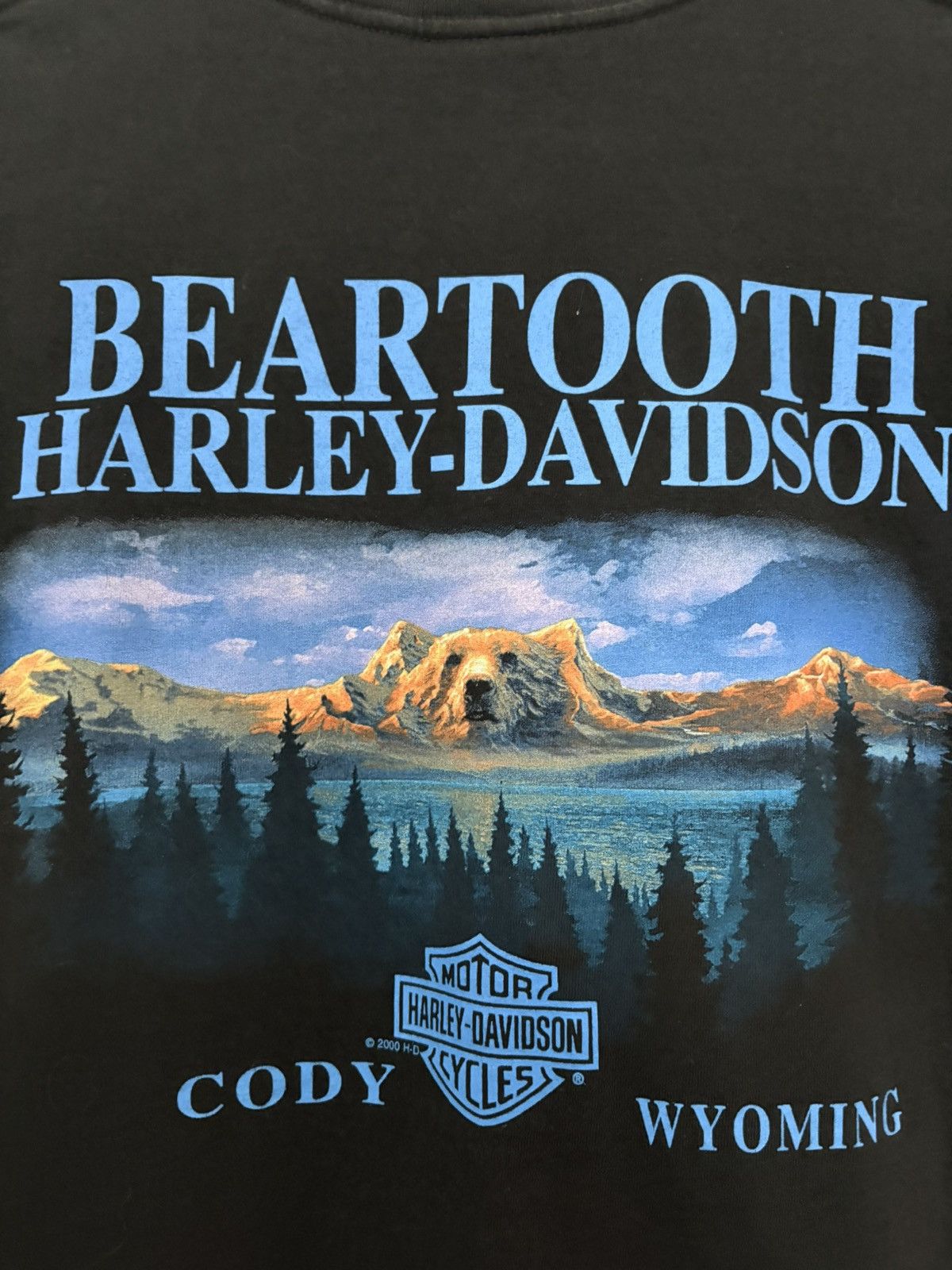 Harley Davidson Harley Davidson vintage 2005 Beartooth, Wyoming Tee shirt Size US XL / EU 56 / 4 - 6 Thumbnail