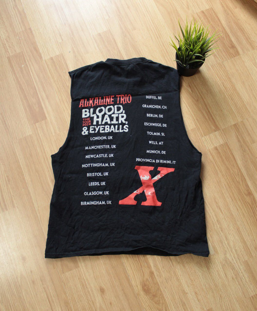 Band Tees 🔥 Alkaline Trio 2024 Blood Hair and Eyeballs Tour T Shirt Size US M / EU 48-50 / 2 - 2 Thumbnail