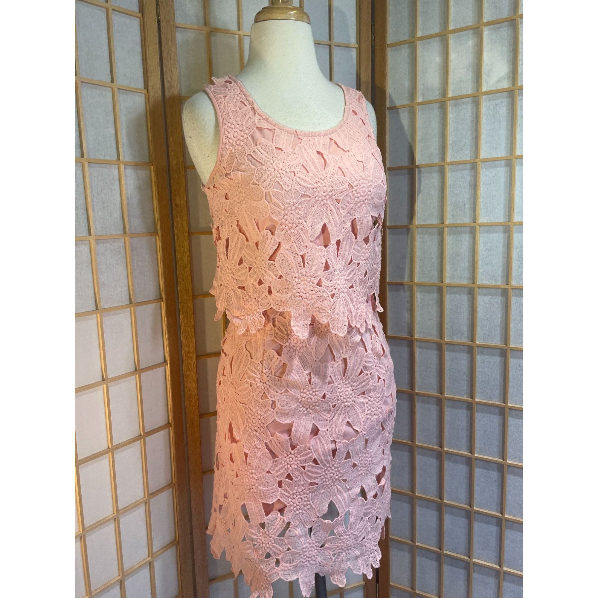 Other Francesca's Miami Sm Lace Floral Dress Size S / US 4 / IT 40 - 9 Thumbnail