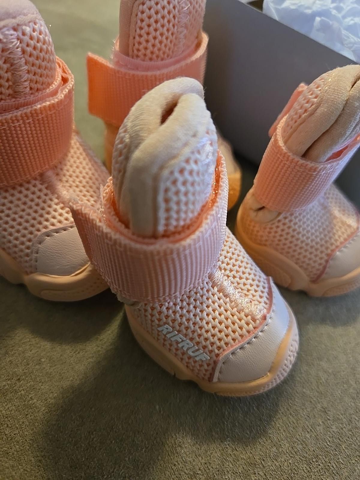 Other RifRuf Caesar 1 - BLUSH Size 1 / 2 Designer Dog Shoes Size ONE SIZE - 7 Thumbnail