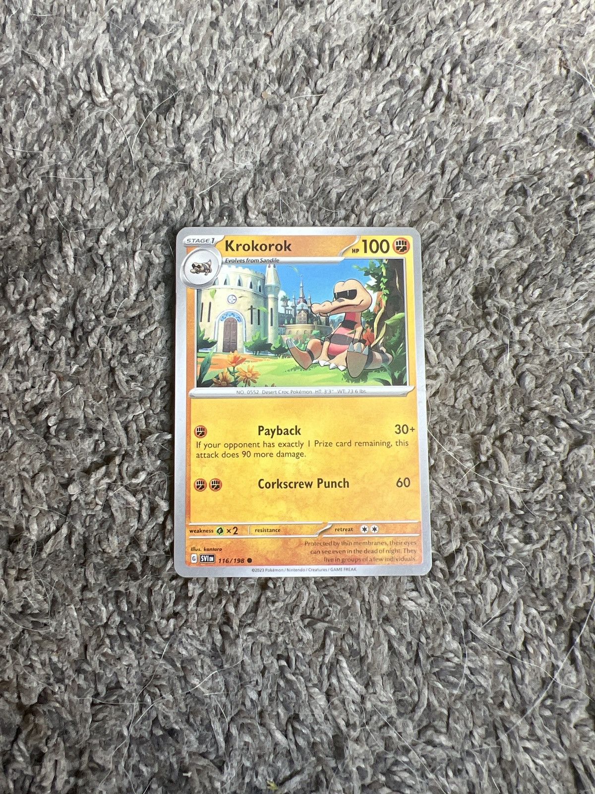 Pokemon 2023 Pokémon Krokorok Stage 1 Card Size ONE SIZE - 1 Thumbnail