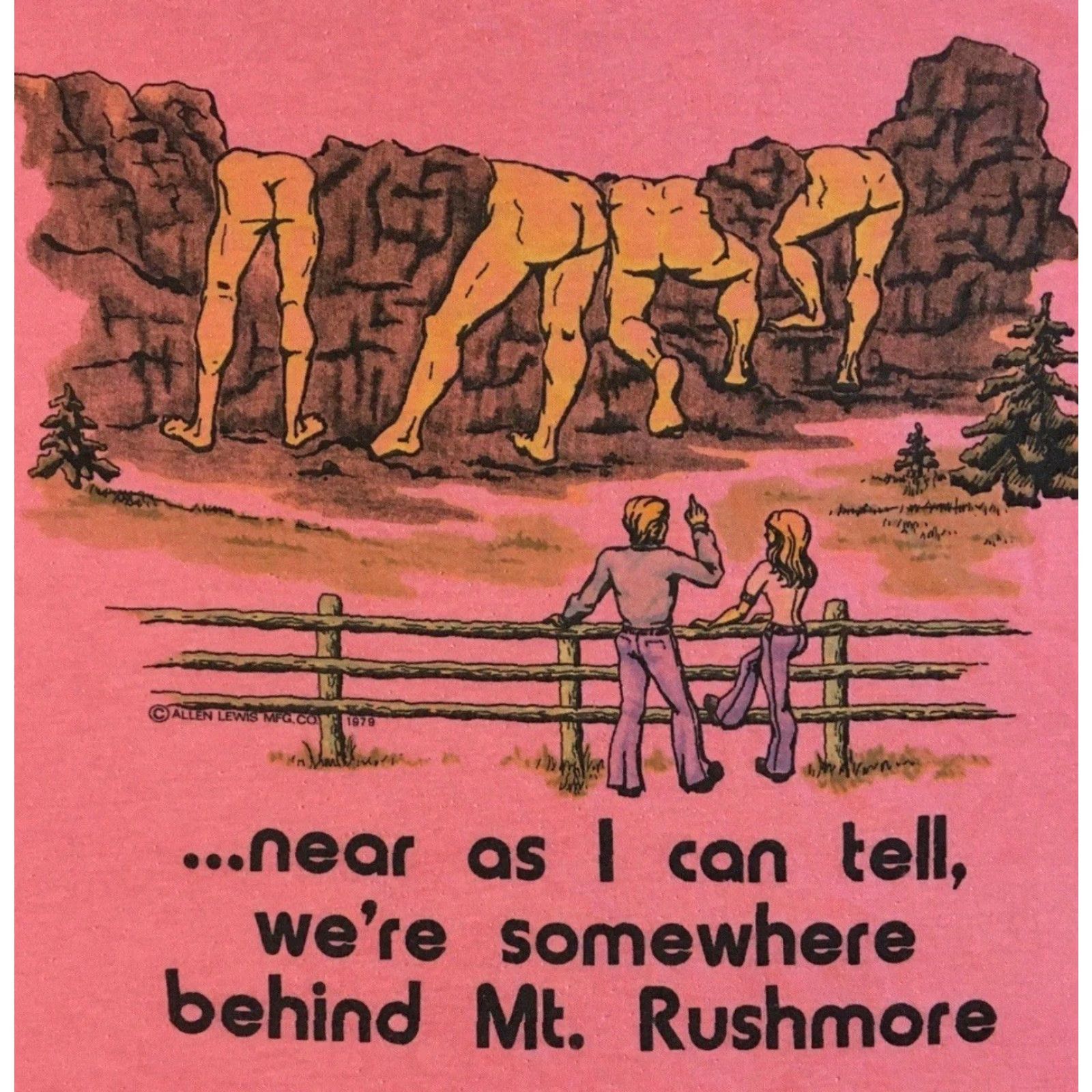 Vintage VINTAGE Mt Rushmore Butts T-Shirt Unisex Adults One Size Pink 70s 80s 90s Funny Crude Joke USA Disney Mickey Mouse Striped Distressed Size US M / EU 48-50 / 2 - 2 Thumbnail