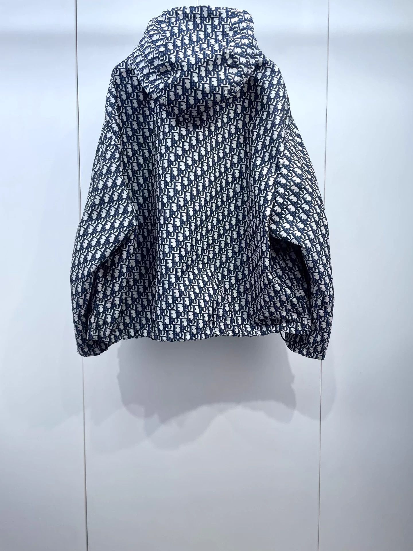 Dior Dior New Oblique Hooded Shell Jacket Size L / US 10 / IT 46 - 2 Thumbnail