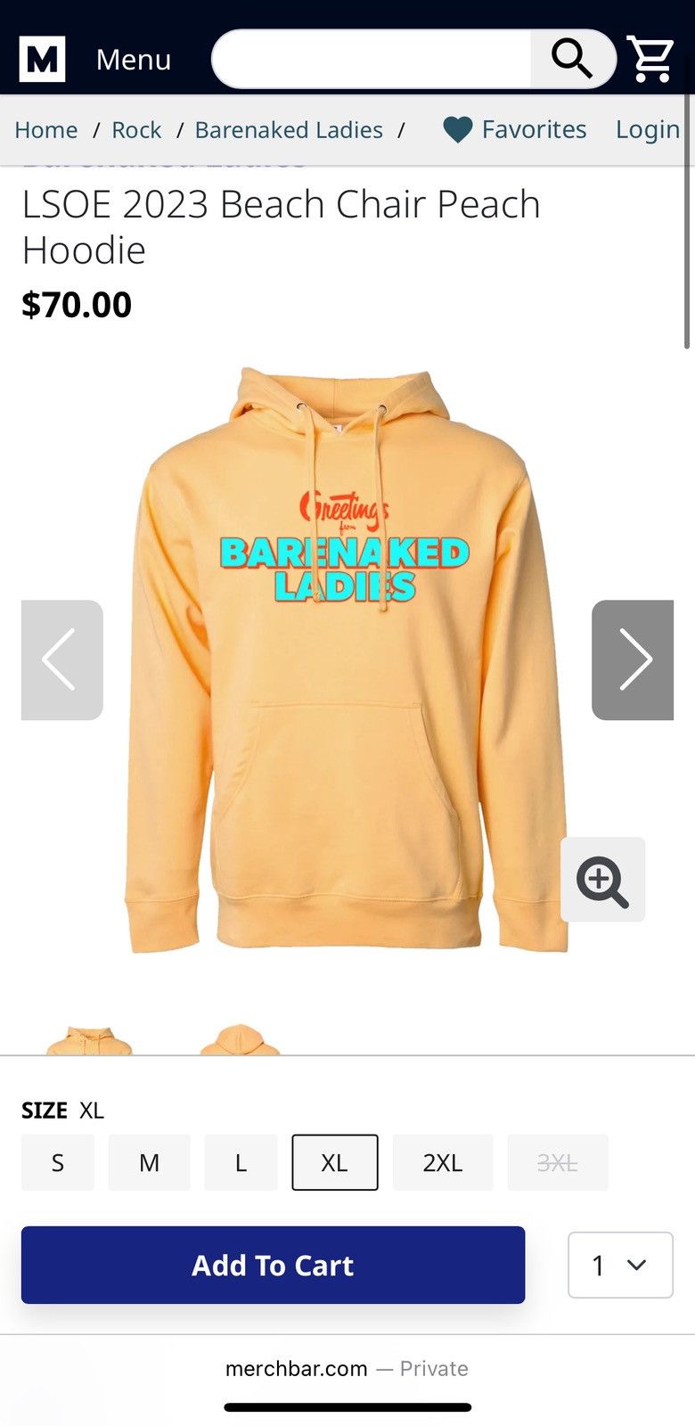 Other Barenaked Ladies 2023 Hoodie Greetings From Last Summer XL Size US XL / EU 56 / 4 - 8 Thumbnail