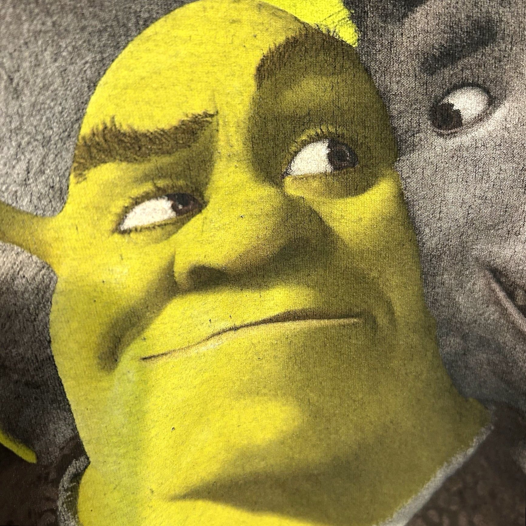 Vintage Shrek Dream Works Shirt Men 2XL Black Short Sleeve Crew Neck Front Graphic 2023 Size US XXL / EU 58 / 5 - 5 Thumbnail