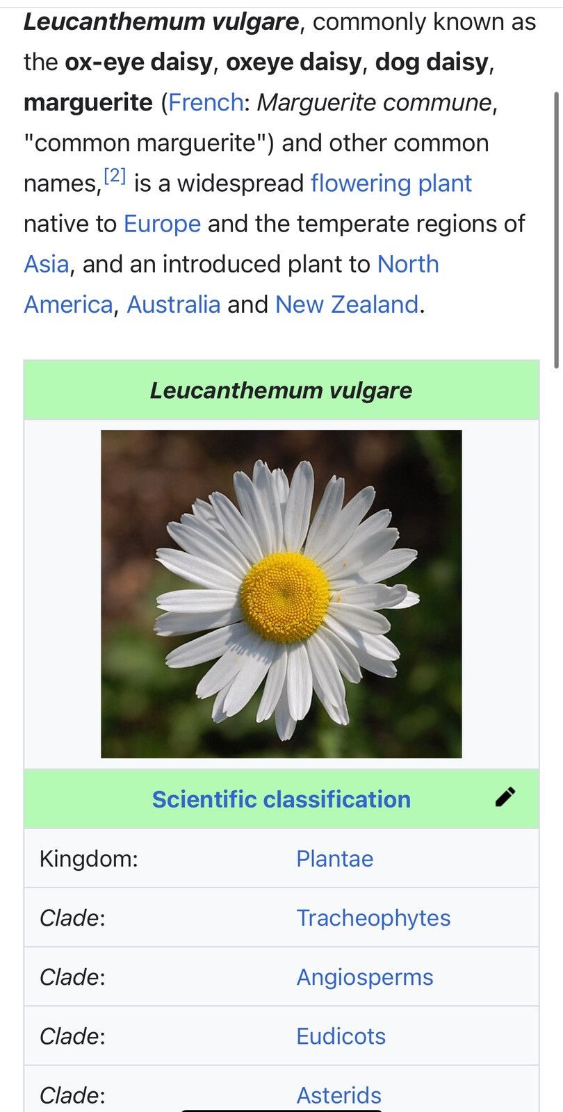 Vintage VANCOUVER iSLAND BRiTiSH COLUMBiA CANADA WiLDFLOWERS BOTANY Size US L / EU 52-54 / 3 - 17 Thumbnail