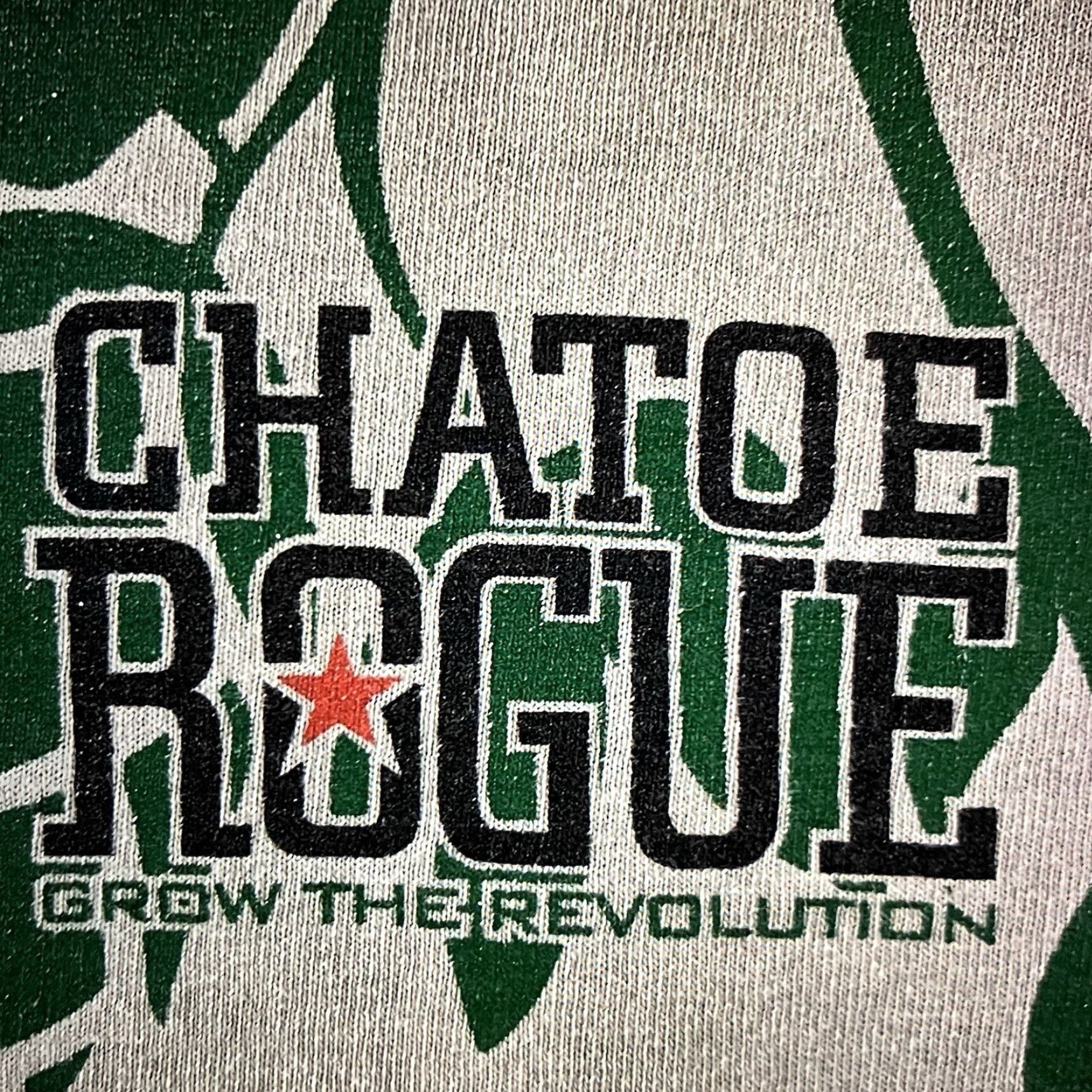 Vintage Vintage Rogue Ales & Spirits Beer T-Shirt Men’s Crew Neck Cotton 2000s Green Summer Spring Size US L / EU 52-54 / 3 - 3 Thumbnail