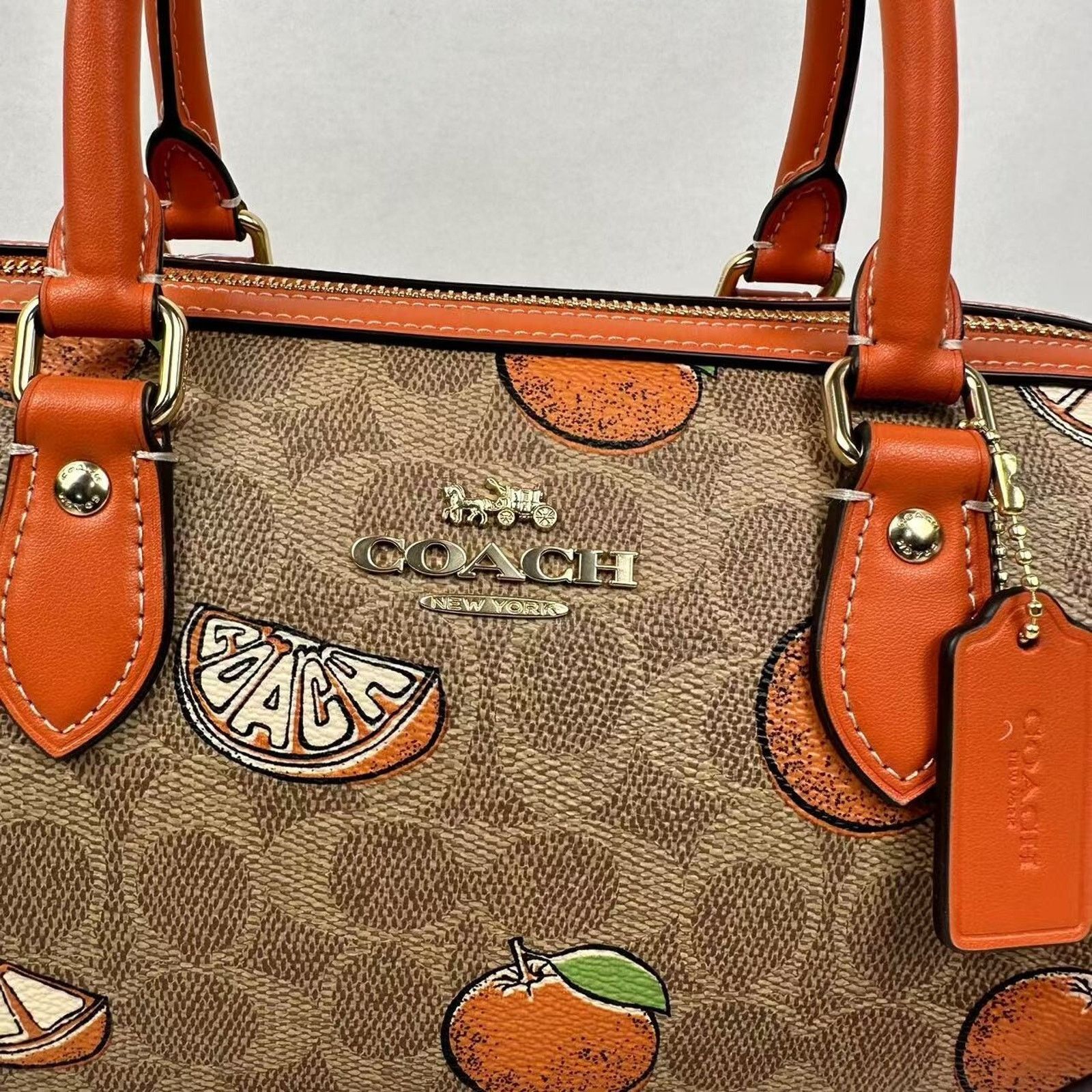 Coach Rowan Satchel Crossbody Bag In Sig Canvas Orange Print