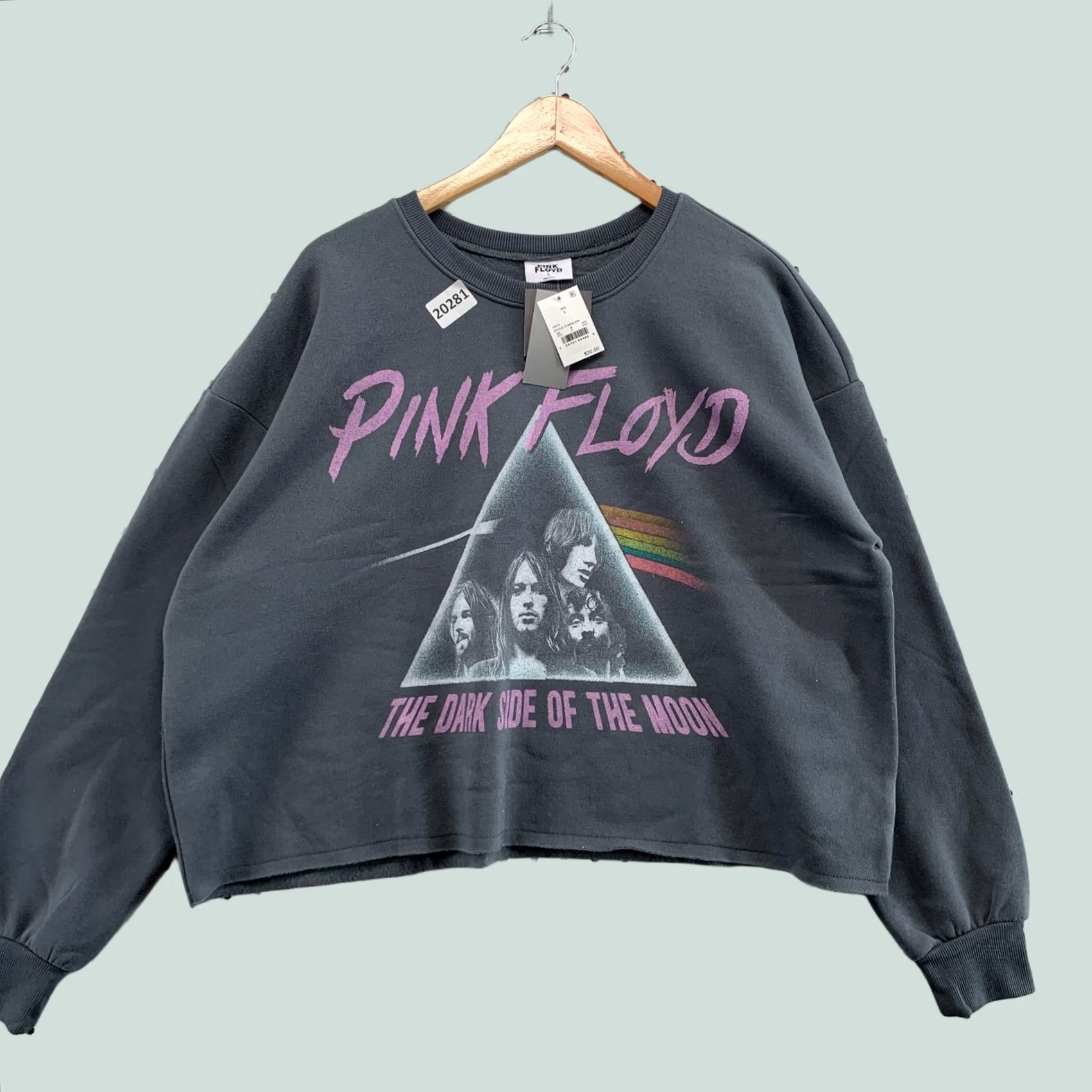 Vintage Pink Floyd Sweatshirt Gray Crew Neck Pullover Womens L 7x22.5 NWT Cropped NEW Size L / US 10 / IT 46 - 1 Thumbnail