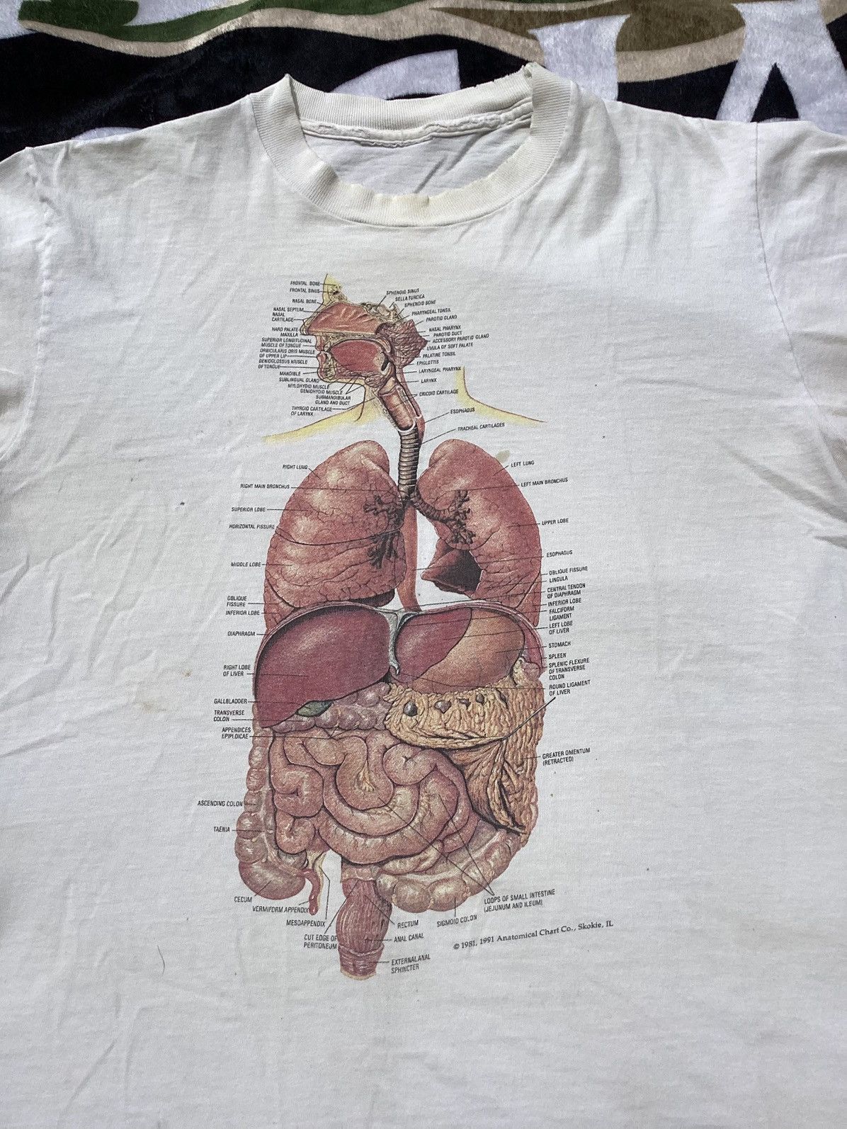 Other × Vintage Vintage 1991 Male organ anatomy chart single stitch T-shirt Size US L / EU 52-54 / 3 - 2 Thumbnail