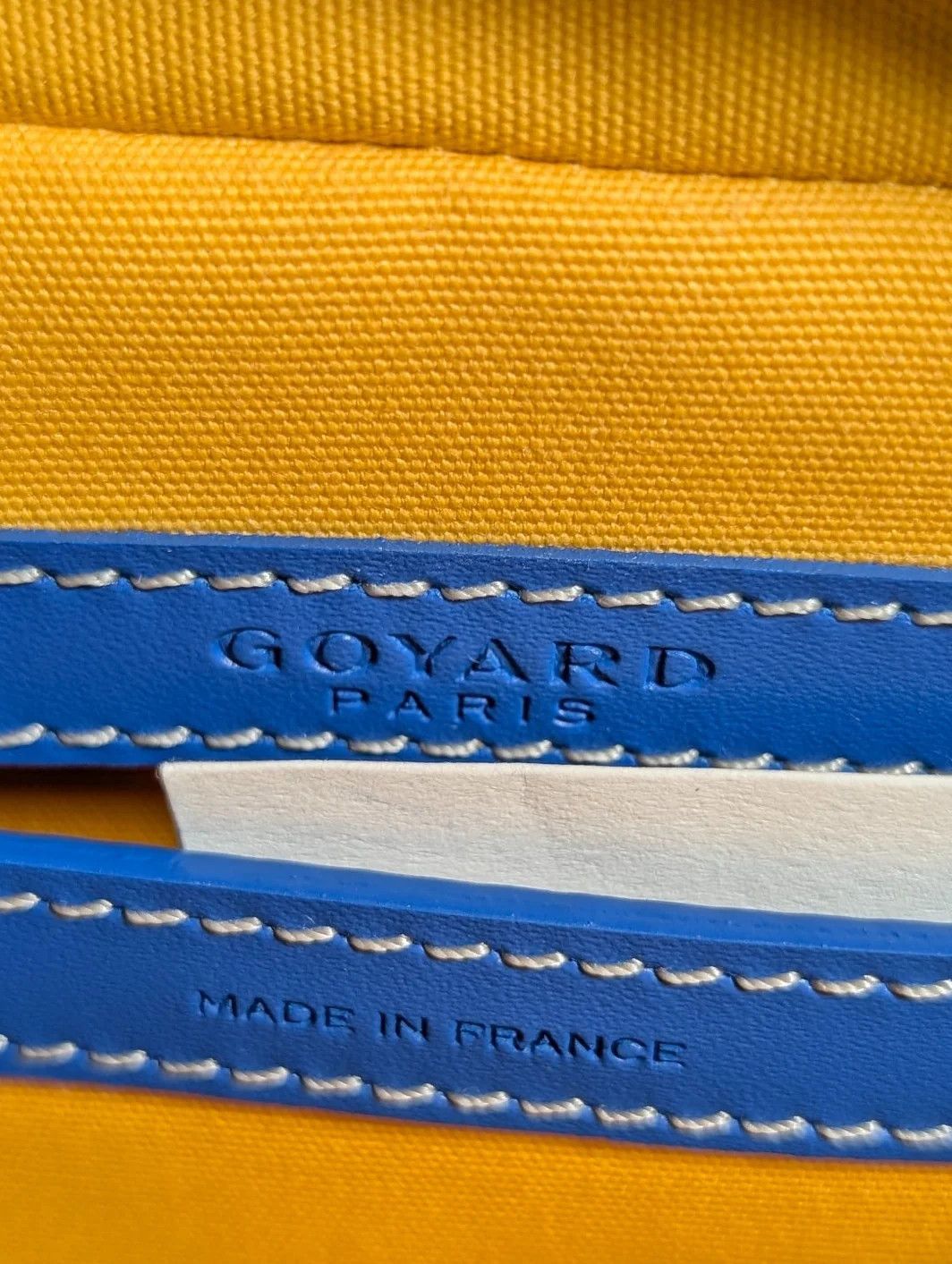 Goyard Sky Blue Cap-Vert PM Cross Body Camera Bag Size ONE SIZE - 9 Thumbnail