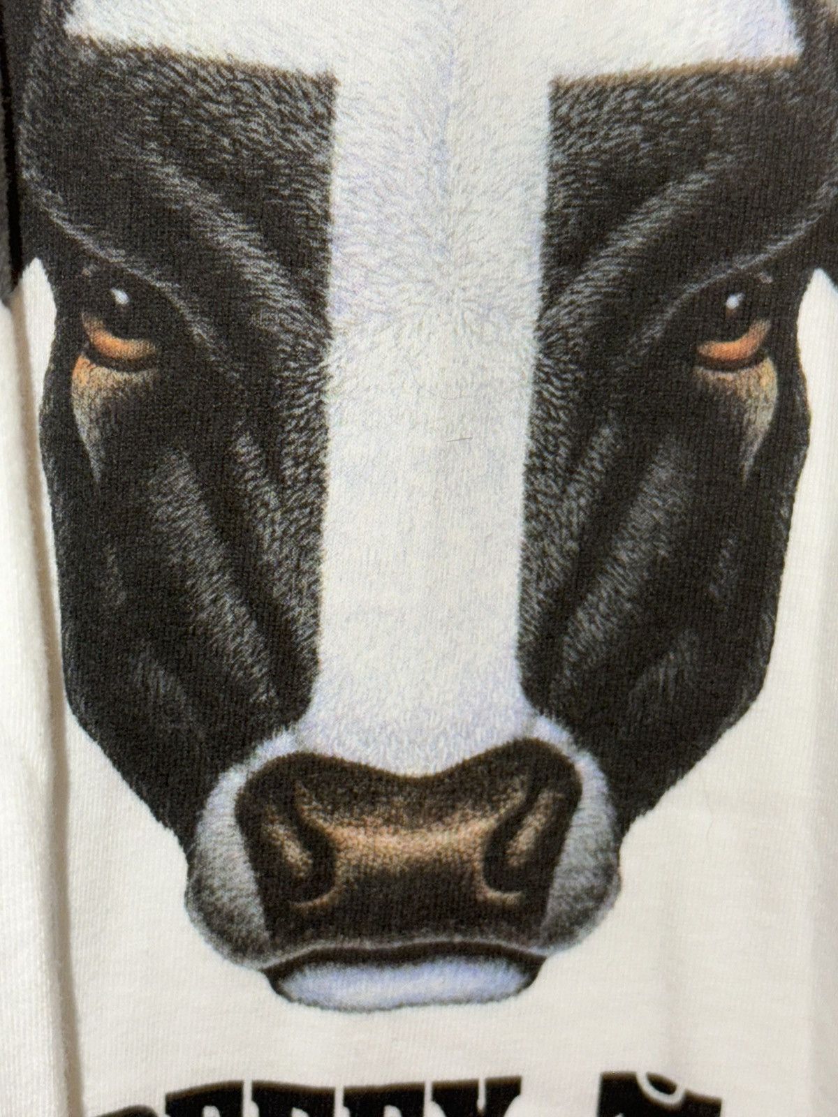 Hanes Vintage 90’s Hanes Graphic Beefy Cow Short Sleeve T Shirt XL Size US XL / EU 56 / 4 - 11 Thumbnail