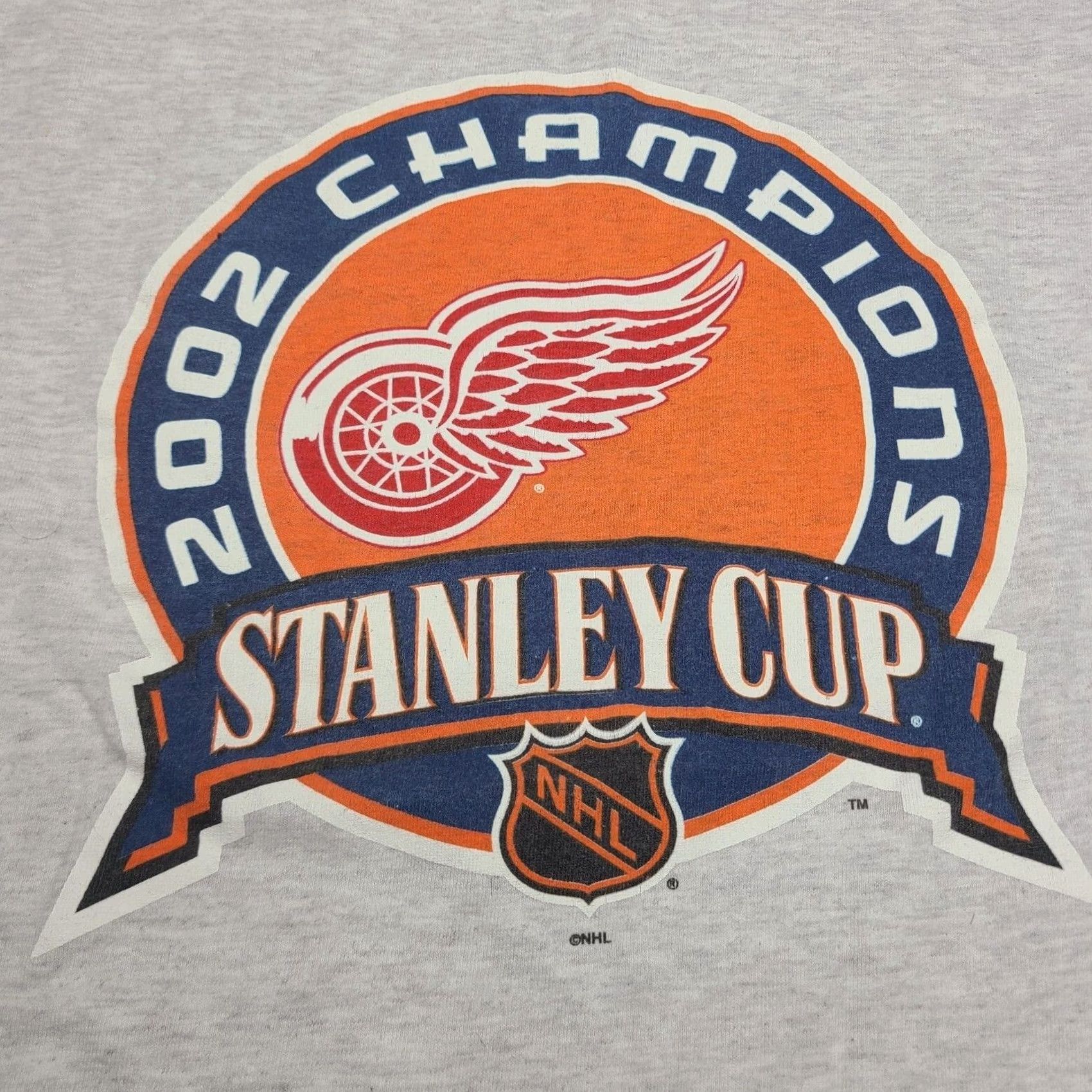Gildan VINTAGE 2002 Stanley Cup Champions T Shirt Mens Large Gray Detroit Red Wings Hockey Shirt Mens L Gray NHL Size US L / EU 52-54 / 3 - 2 Thumbnail