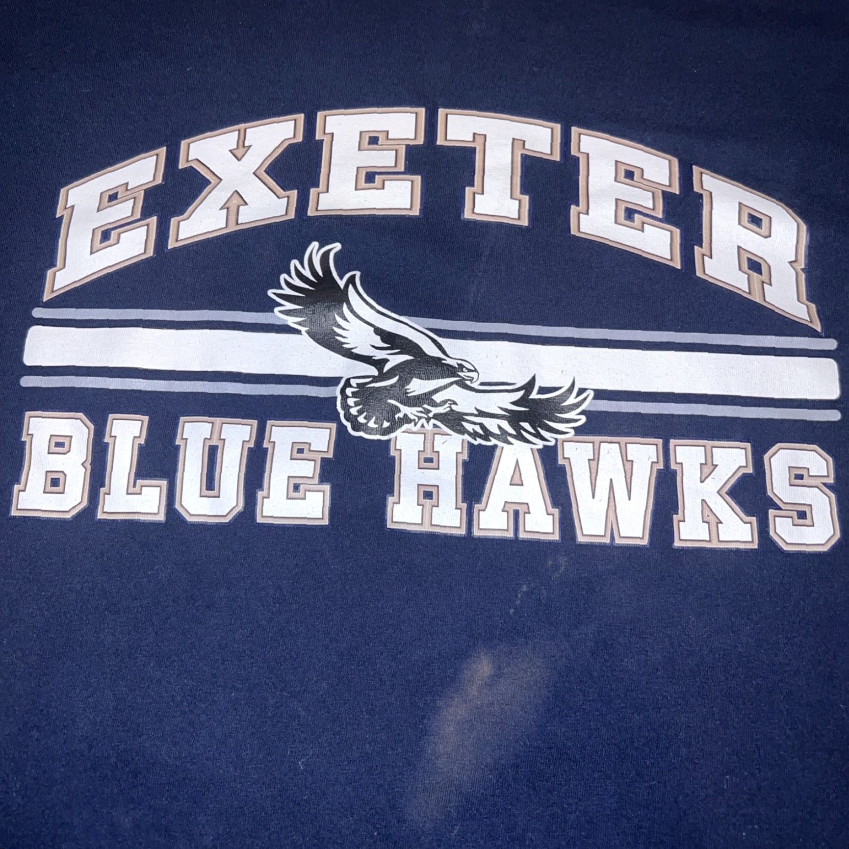 Vintage VINTAGE Phillips Exeter Blue Hawks Logo Shirt Large Blue School College Prep Logo Graphic Print Short Sleeve T-Shirt Cotton Canvas Men Regular Size US L / EU 52-54 / 3 - 2 Thumbnail