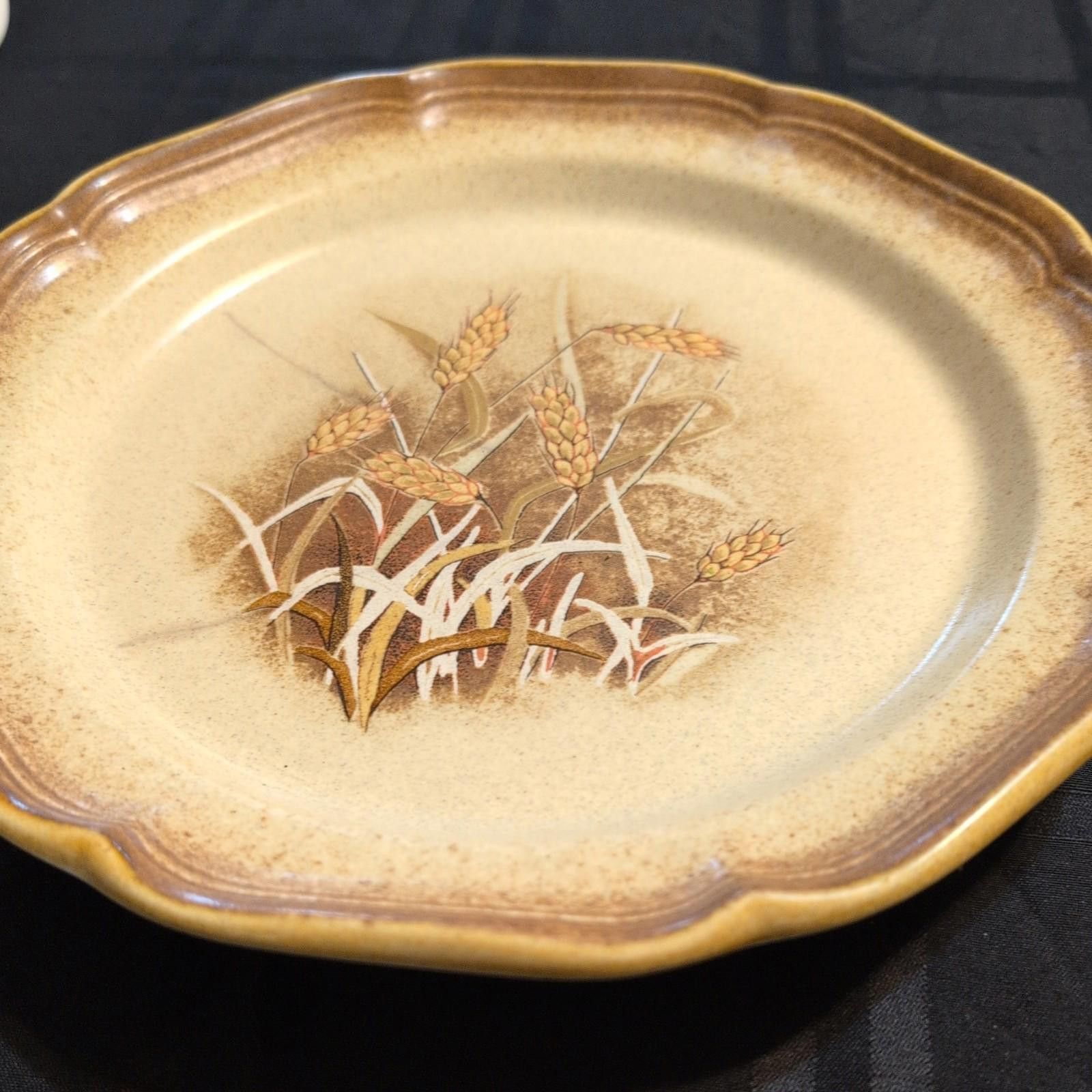 Other Vintage Mikasa Whole Wheat Granola E8001 Dinner Plate. Size ONE SIZE - 4 Thumbnail
