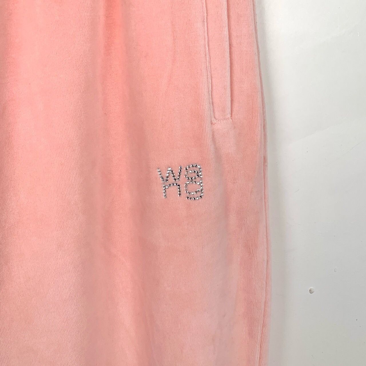 Alexander Wang Alexander Wang Pink Velour Jogger Pants With Rhinestone Logo Size 30" / US 8 / IT 44 - 4 Thumbnail