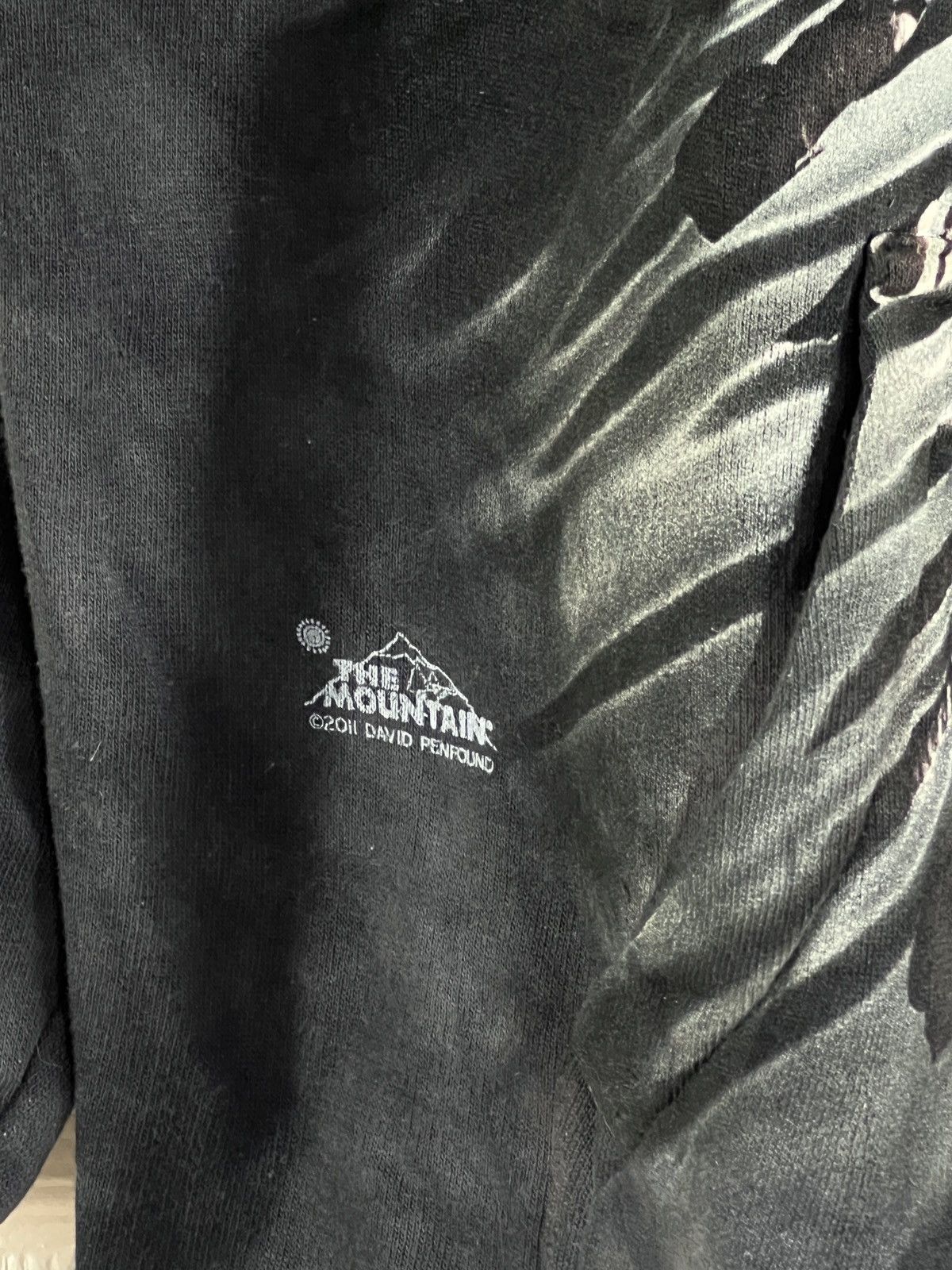 The Mountain THE MOUNTAIN HOODIE 2011 SKULL BREAKTHROUGH BRANDNEW Size US M / EU 48-50 / 2 - 2 Thumbnail