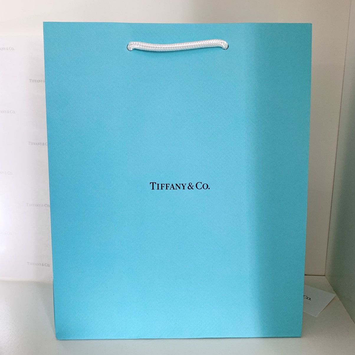 Tiffany & Co. Tiffany & Co. Gift Set Box Bag Ribbon Card Full Set Large Size ONE SIZE - 11 Thumbnail