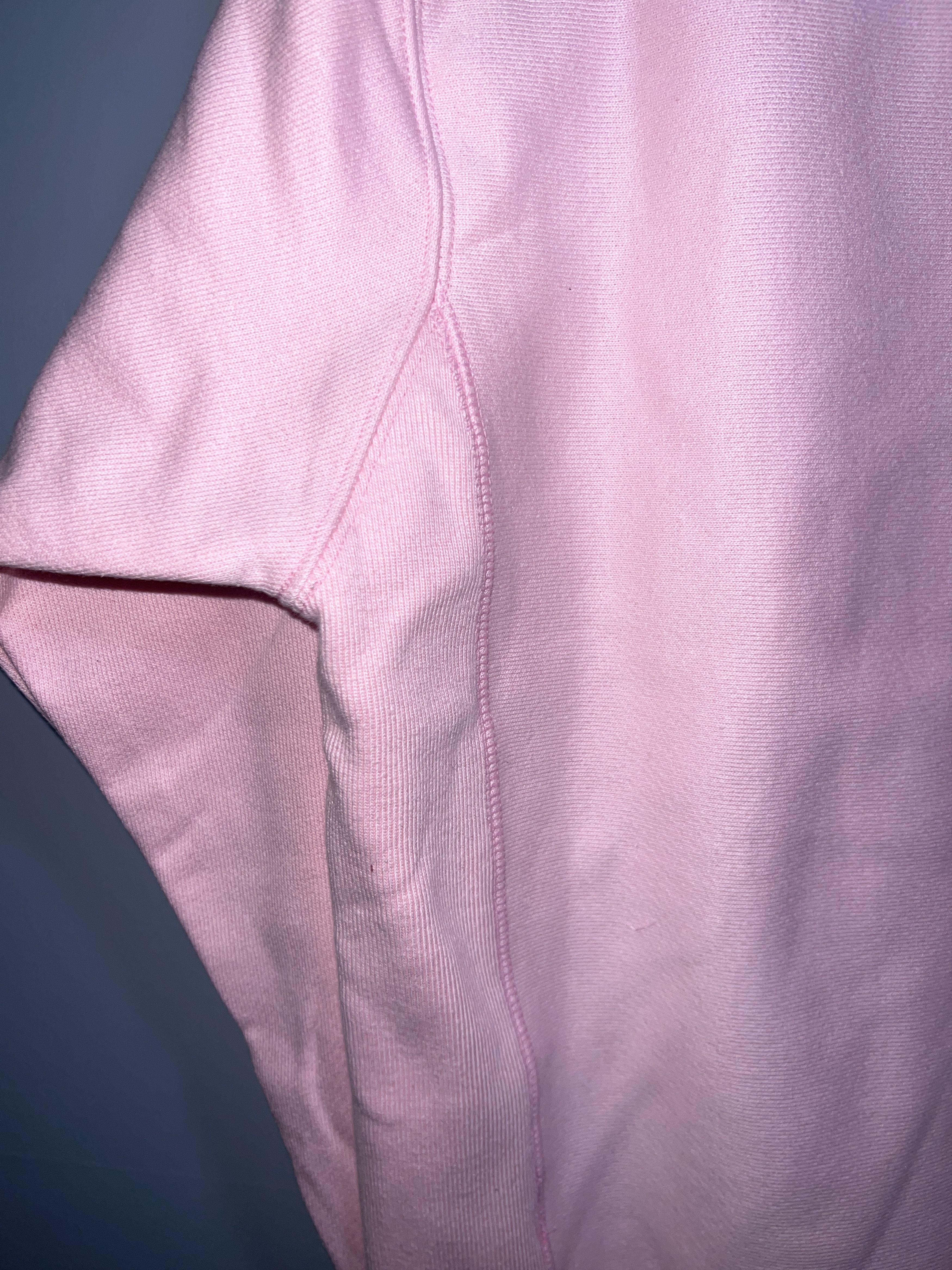 SUPREME CHAMPION HOODIE Menswear