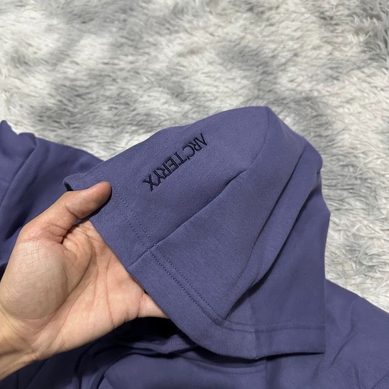 Arc'teryx Arcteryx Emblem Fleece Hoody Size S Size US S / EU 44-46 / 1 - 3 Thumbnail
