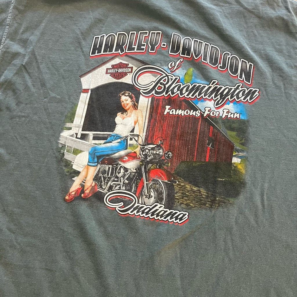 Harley Davidson Harley Davidson Motorcycle Green Casual Graphic Shirt Men 2X Size US XXL / EU 58 / 5 - 5 Thumbnail