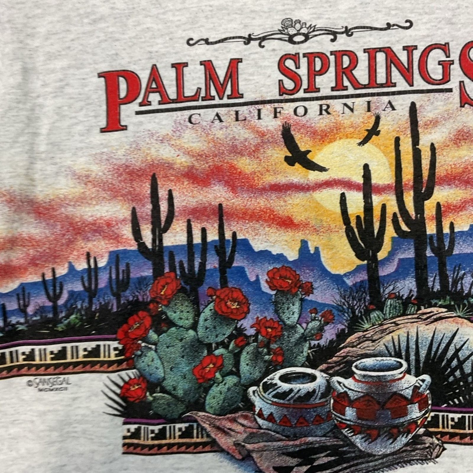 Delta Vintage 90s DeltaPalm Springs California Western T-Shirt Size US S / EU 44-46 / 1 - 3 Thumbnail