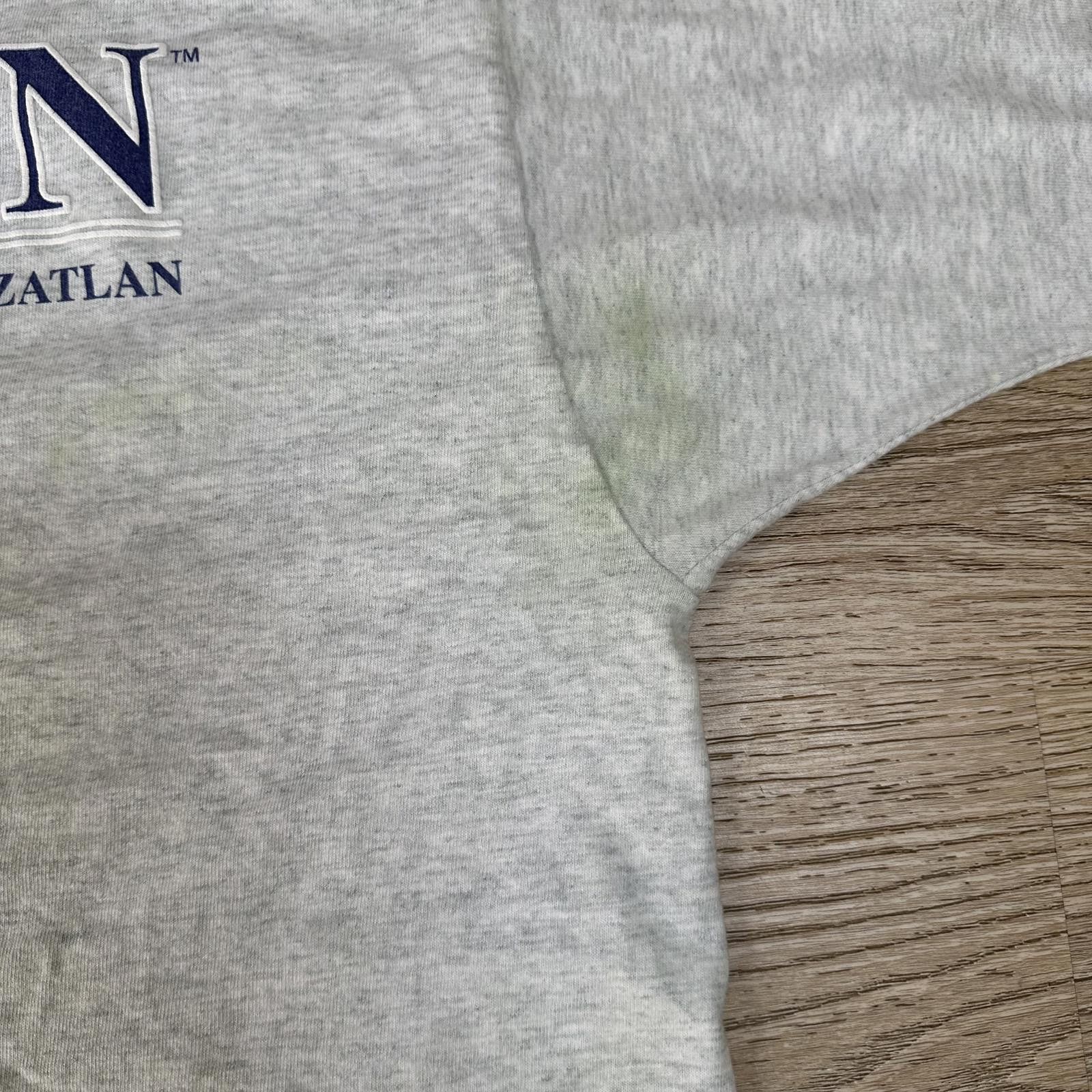 Fruit Of The Loom Carnival Men T-Shirt Size L Gray ELATION Graphic Print Size US XL / EU 56 / 4 - 5 Thumbnail