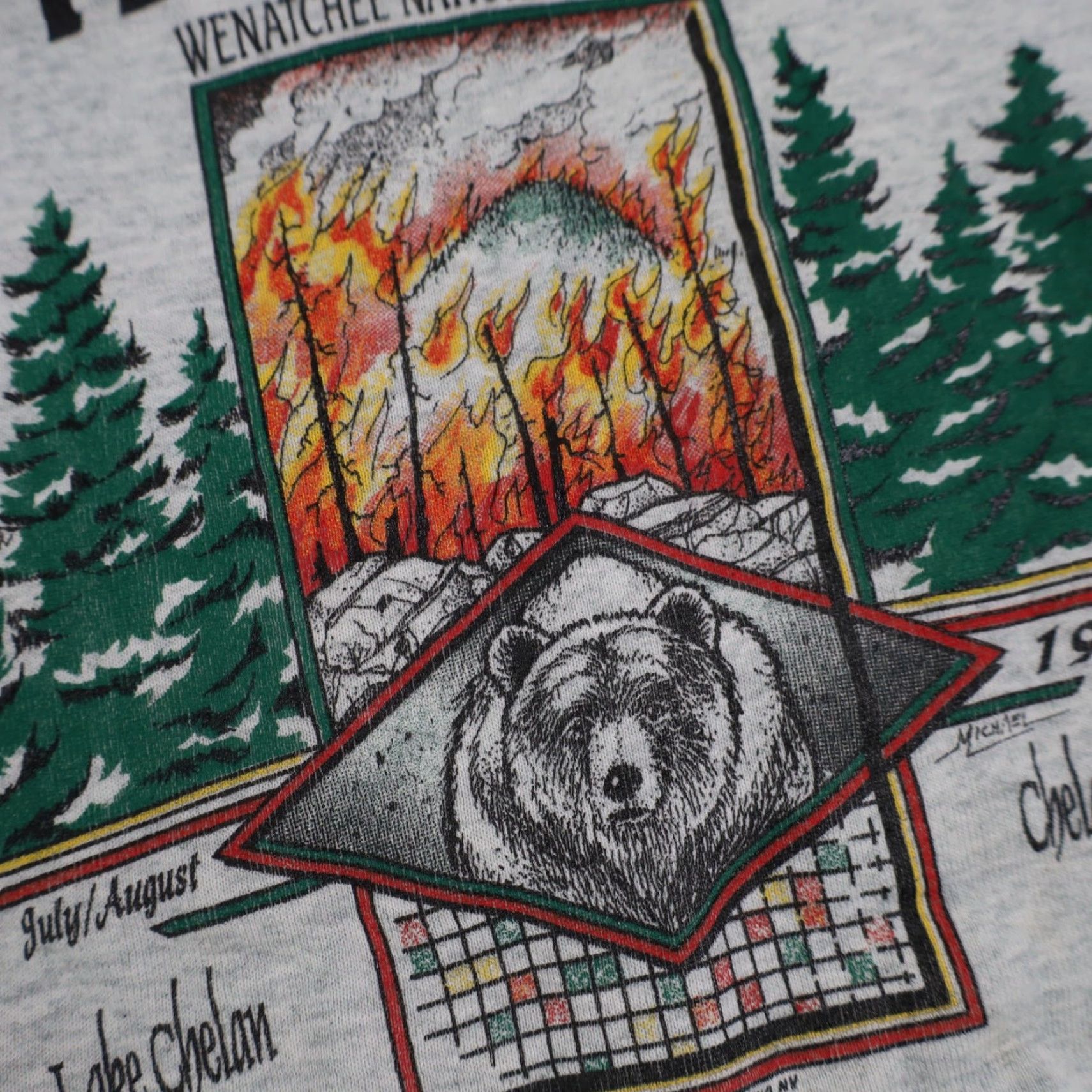 Vintage VINTAGE 1994 Wenatchee National Forest Tyee Complex Fire XL Sweatshirt Gray Mens XL Sweatshirt Size US XL / EU 56 / 4 - 5 Thumbnail