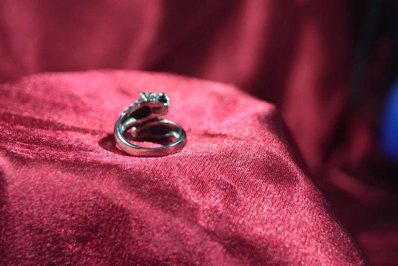 Jewelry Punk Jewelry Rings Open Size Chrome Ring (Size 7-13) Size ONE SIZE - 4 Thumbnail