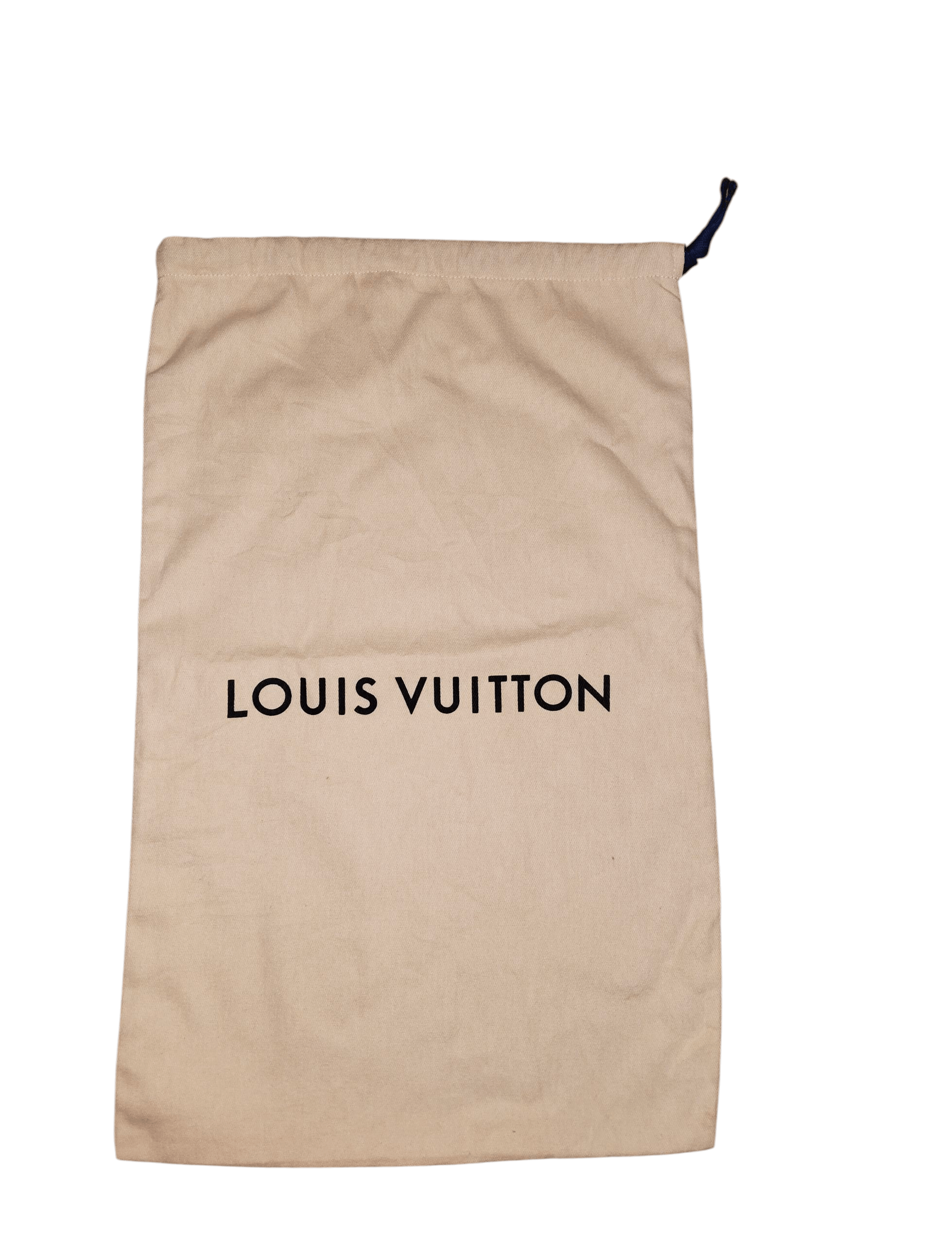 Louis Vuitton LOUIS VUITTON Dust Bag Size ONE SIZE - 1 Thumbnail