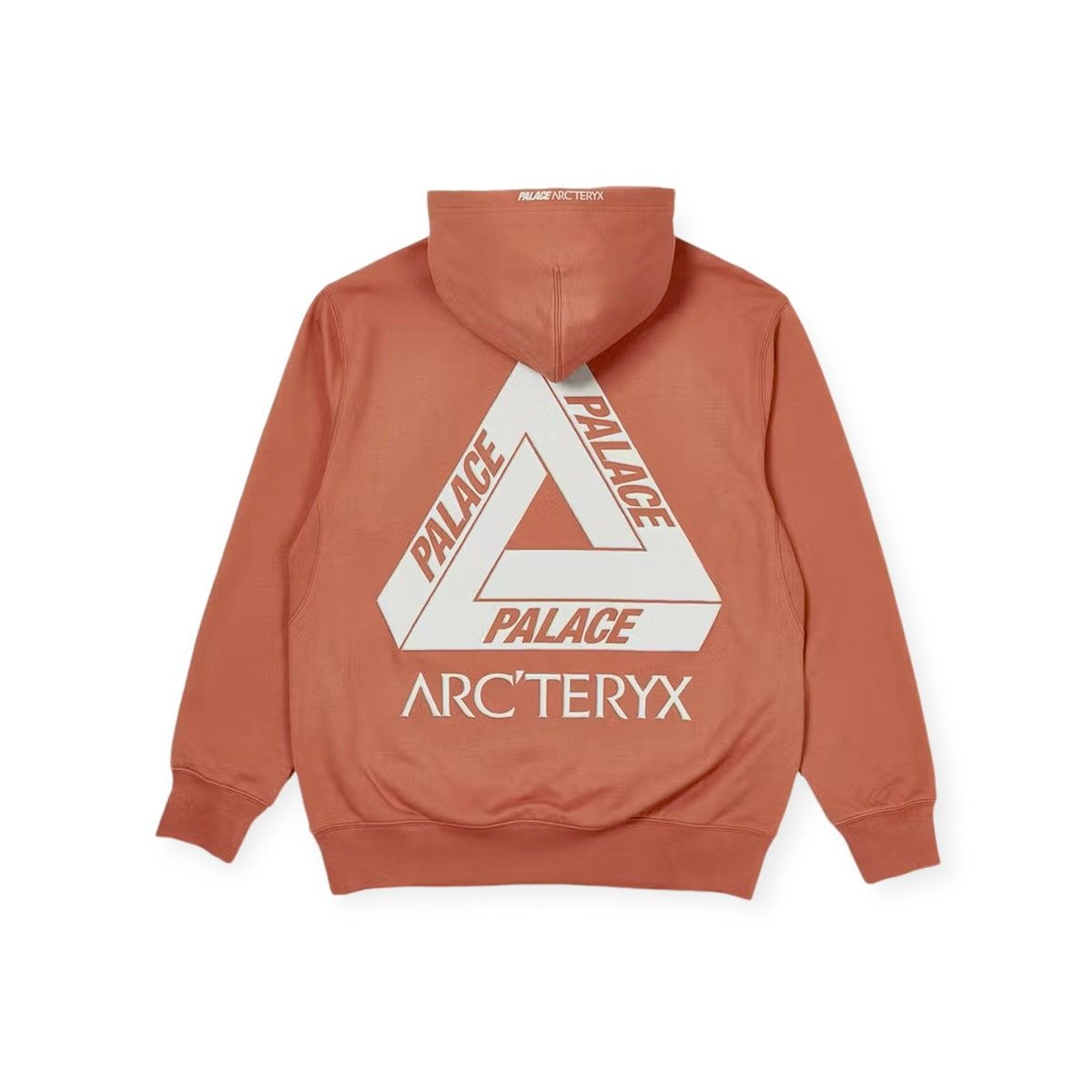 Arc Teryx Palace Arcteryx x Palace Hoodie Grailed