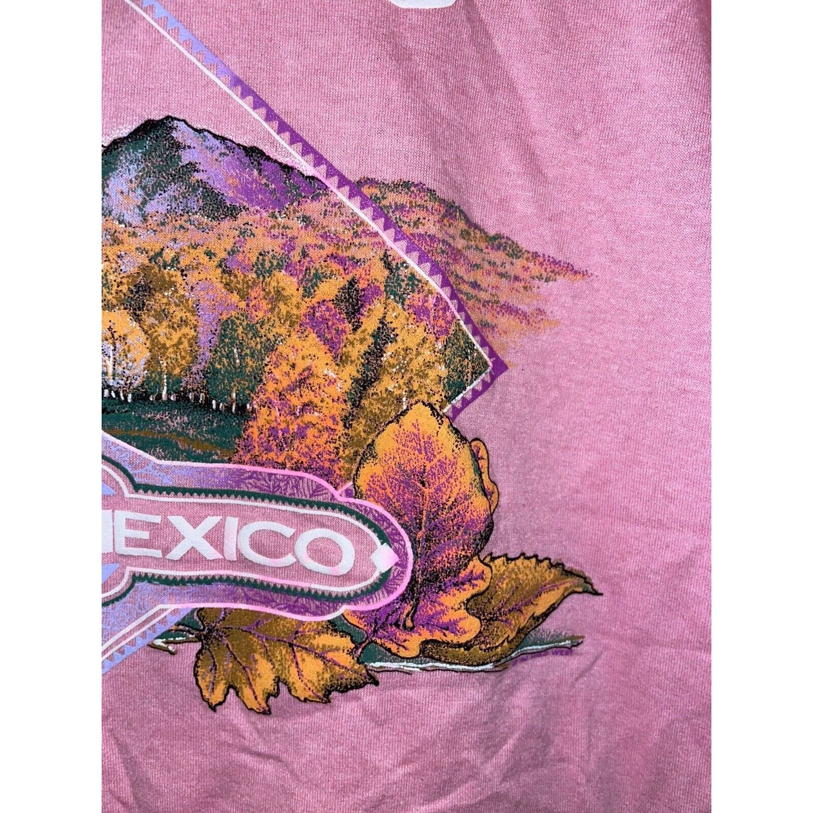 Jerzees Vintage Ruidoso New Mexico Shirt Fall Leaves Tree Tee VTG L Size US L / EU 52-54 / 3 - 4 Thumbnail