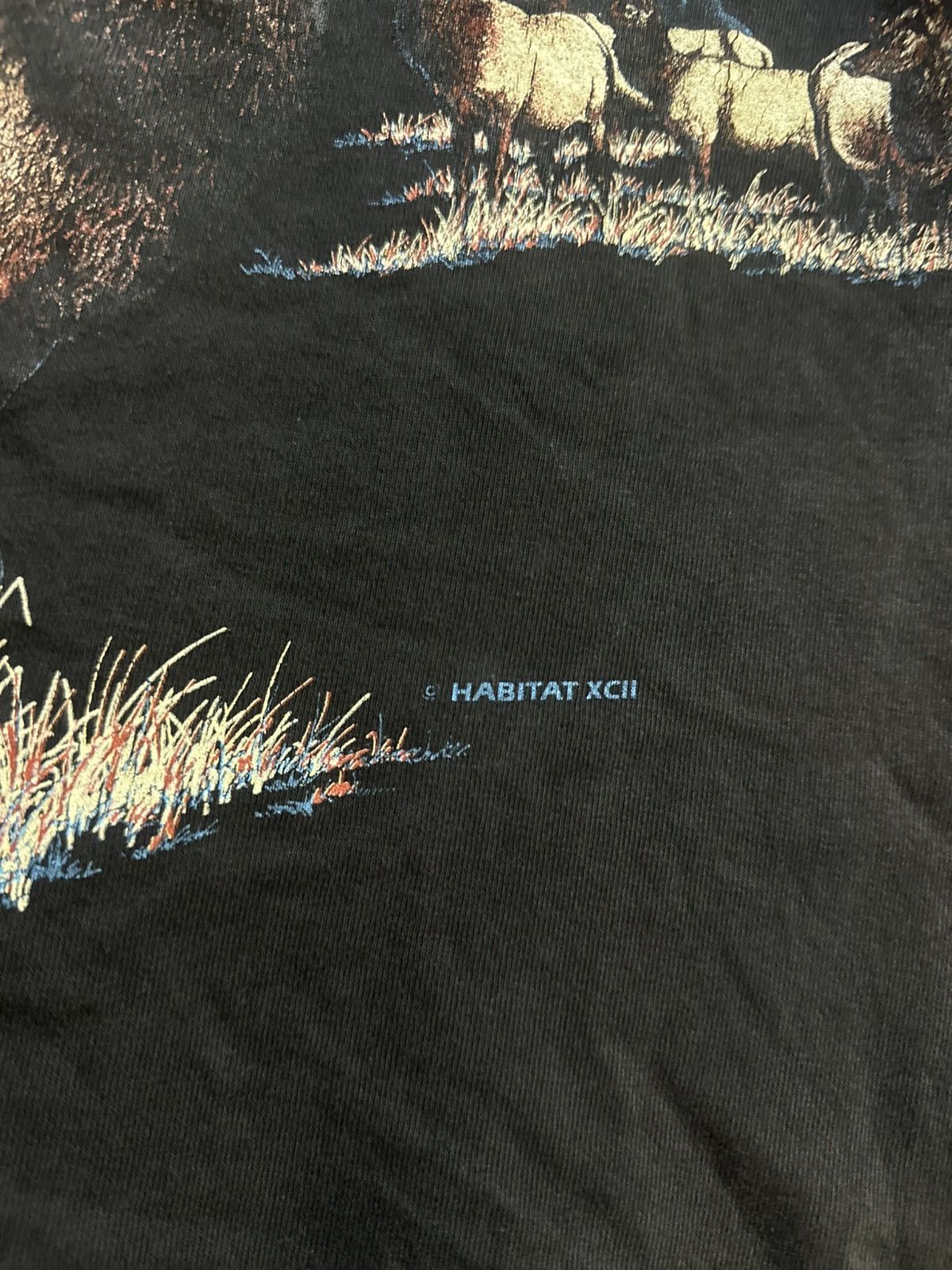 Habitat × Vintage Vintage Habitat Bryce Sun Faded Size US M / EU 48-50 / 2 - 4 Thumbnail