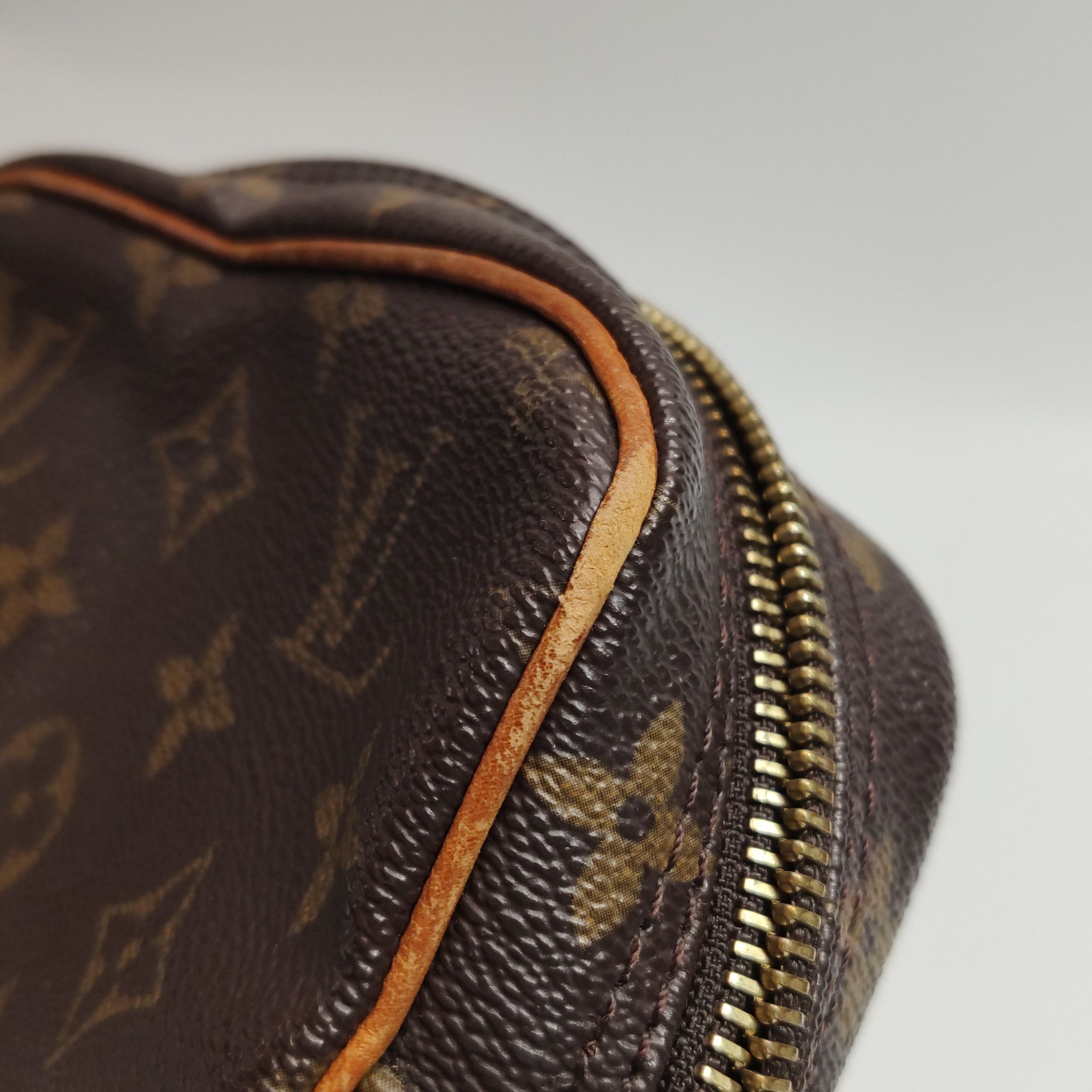 Louis Vuitton Louis Vuitton (LV) Amazone camera bag vegetable tanned leat Size ONE SIZE - 2 Thumbnail
