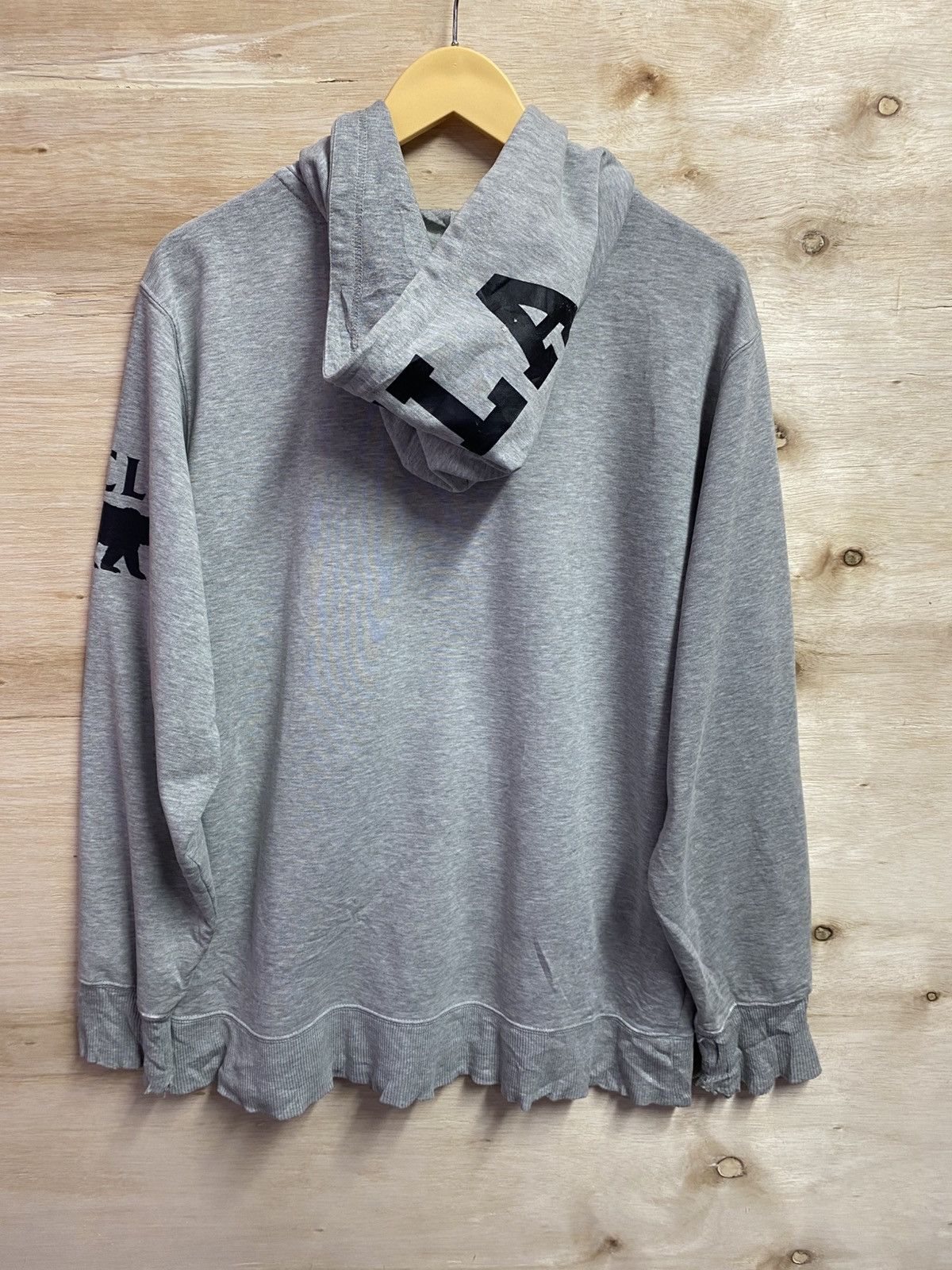 Champion gray Champion UCLA Bruins full-zip hooded sweatshirt. Size US XL / EU 56 / 4 - 10 Thumbnail