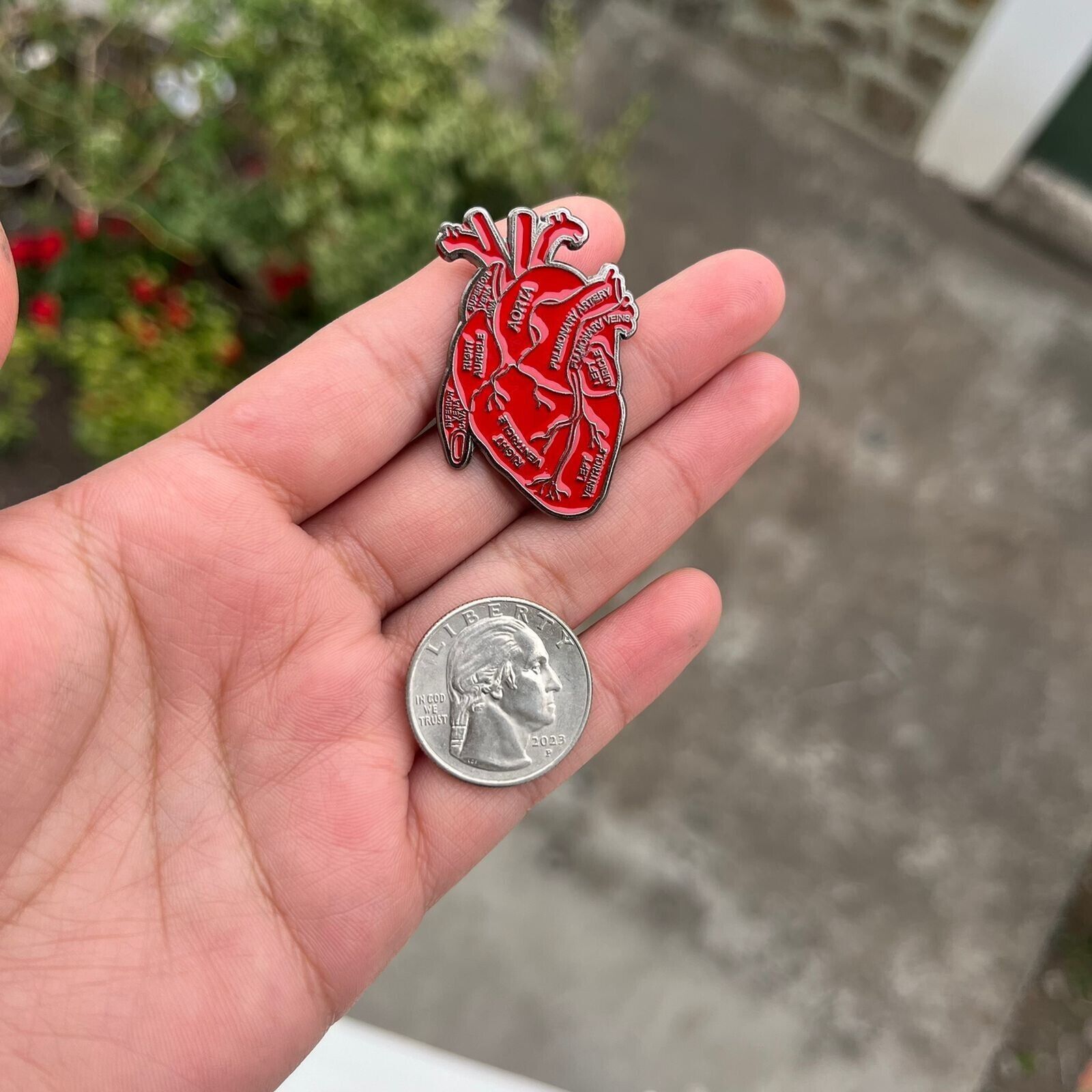 Other Anatomical Human Heart Enamel Pin Brooch Red Heart Organ Lap Size ONE SIZE - 2 Thumbnail