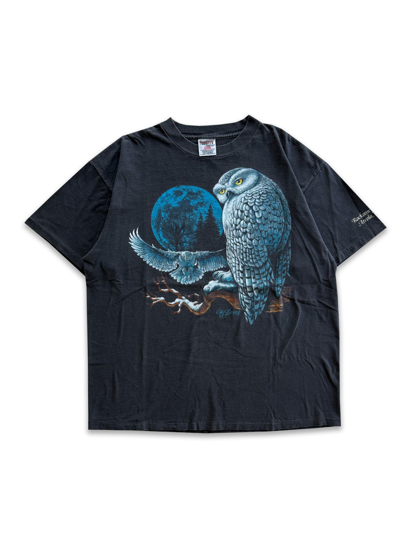 Vintage 1996 Vintage Snowy Owl Tee Size US XL / EU 56 / 4 - 1 Thumbnail